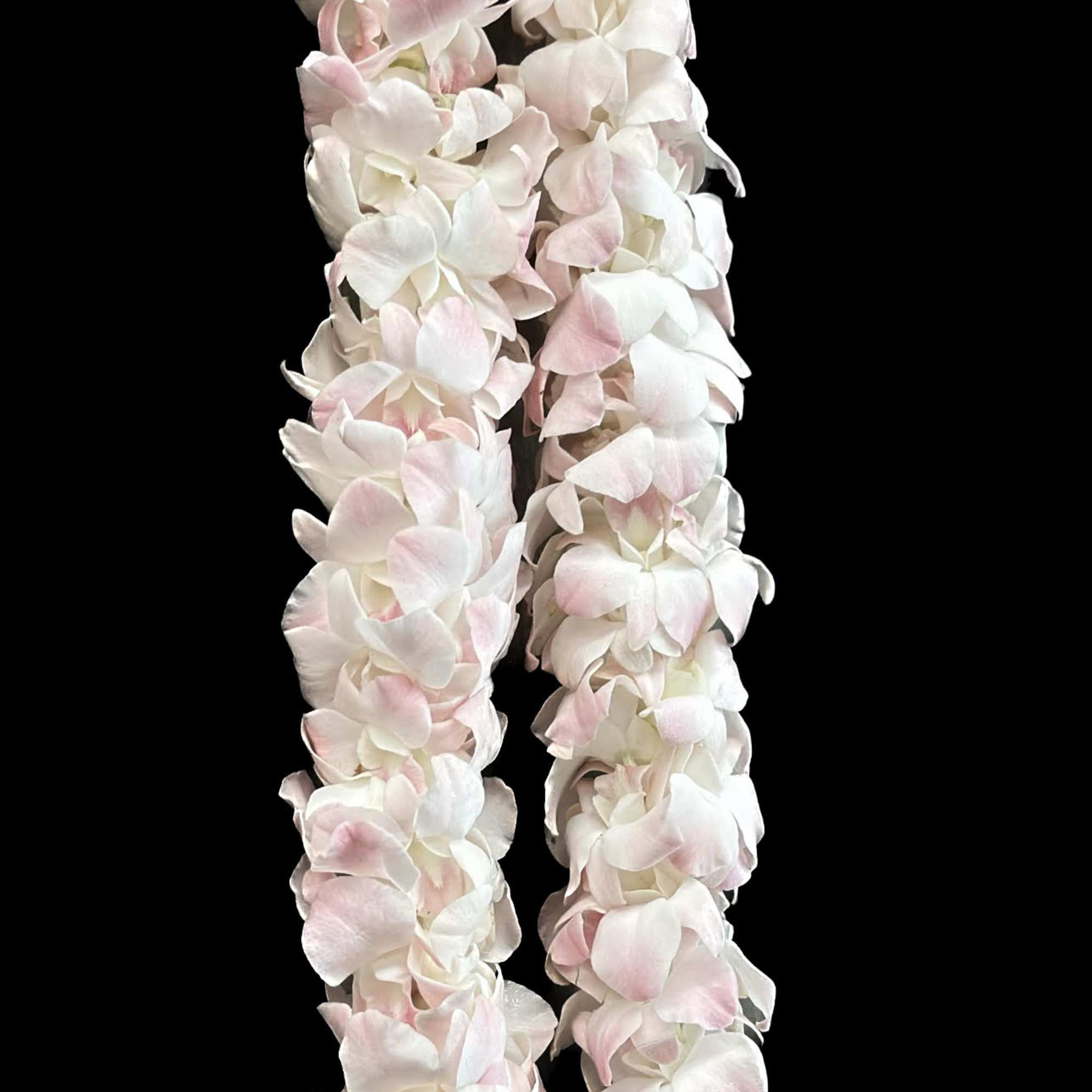 Two pale pink and white flower leis on a black background