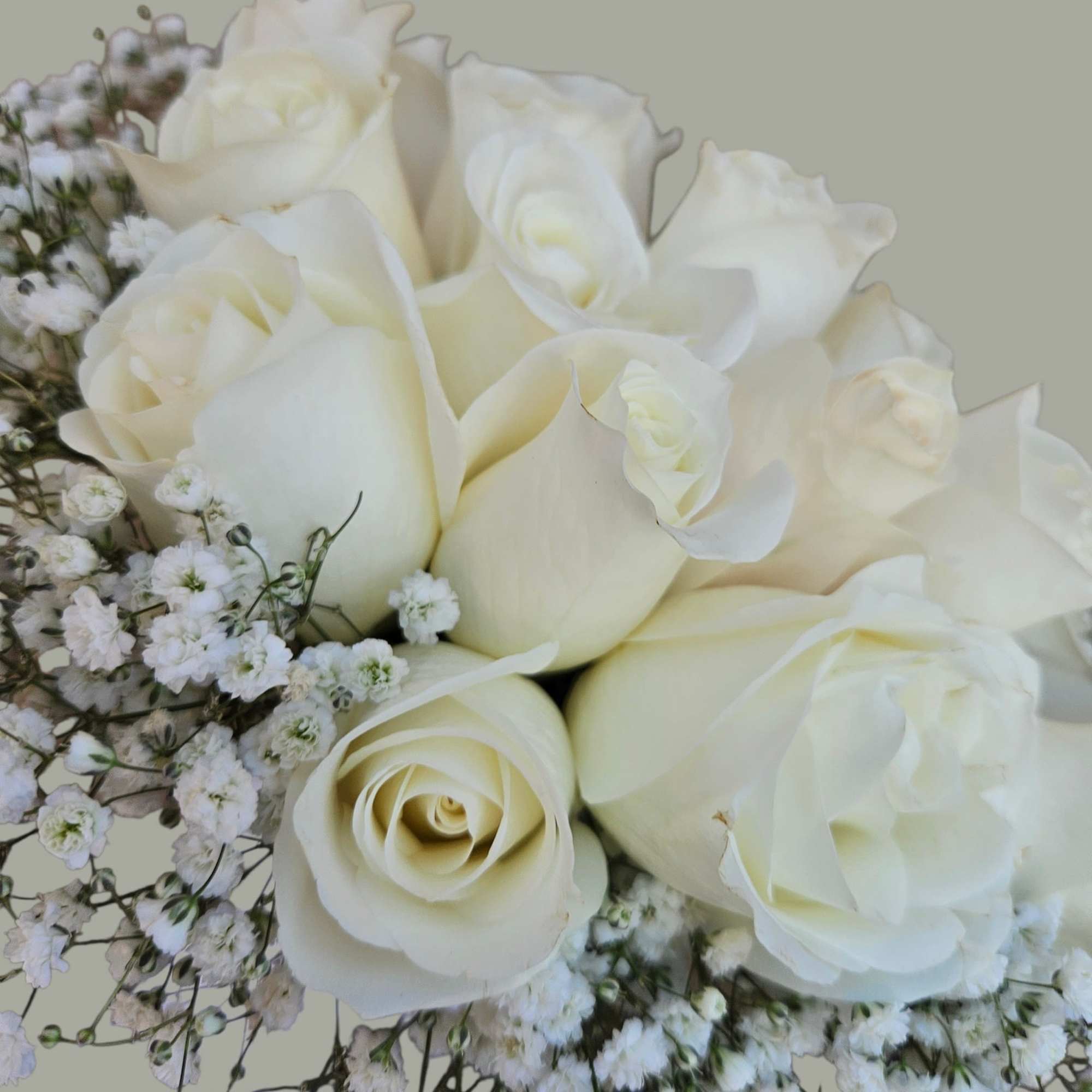 A single large white rose crowned by clouds of baby's breath makes