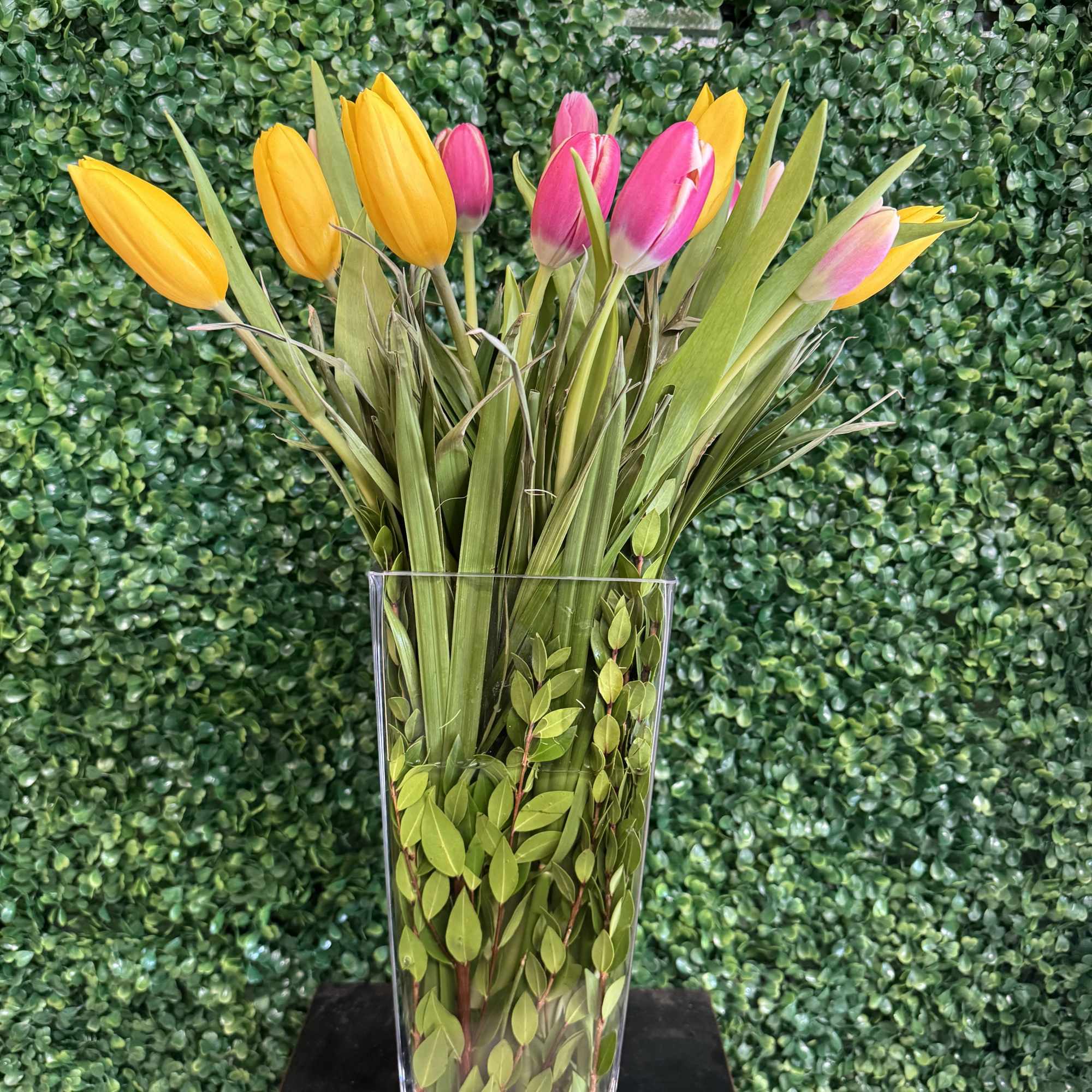 Yellow and pink tulips in a clear glass vase