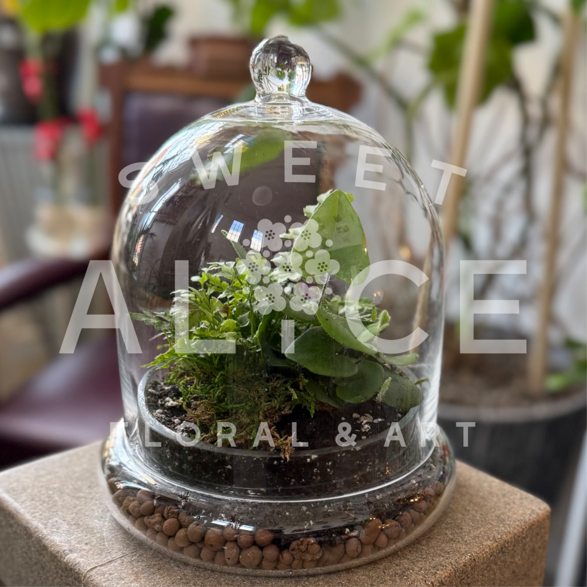 A delightful wilderness under a clear glass cloche, this Ferngully Terrarium is