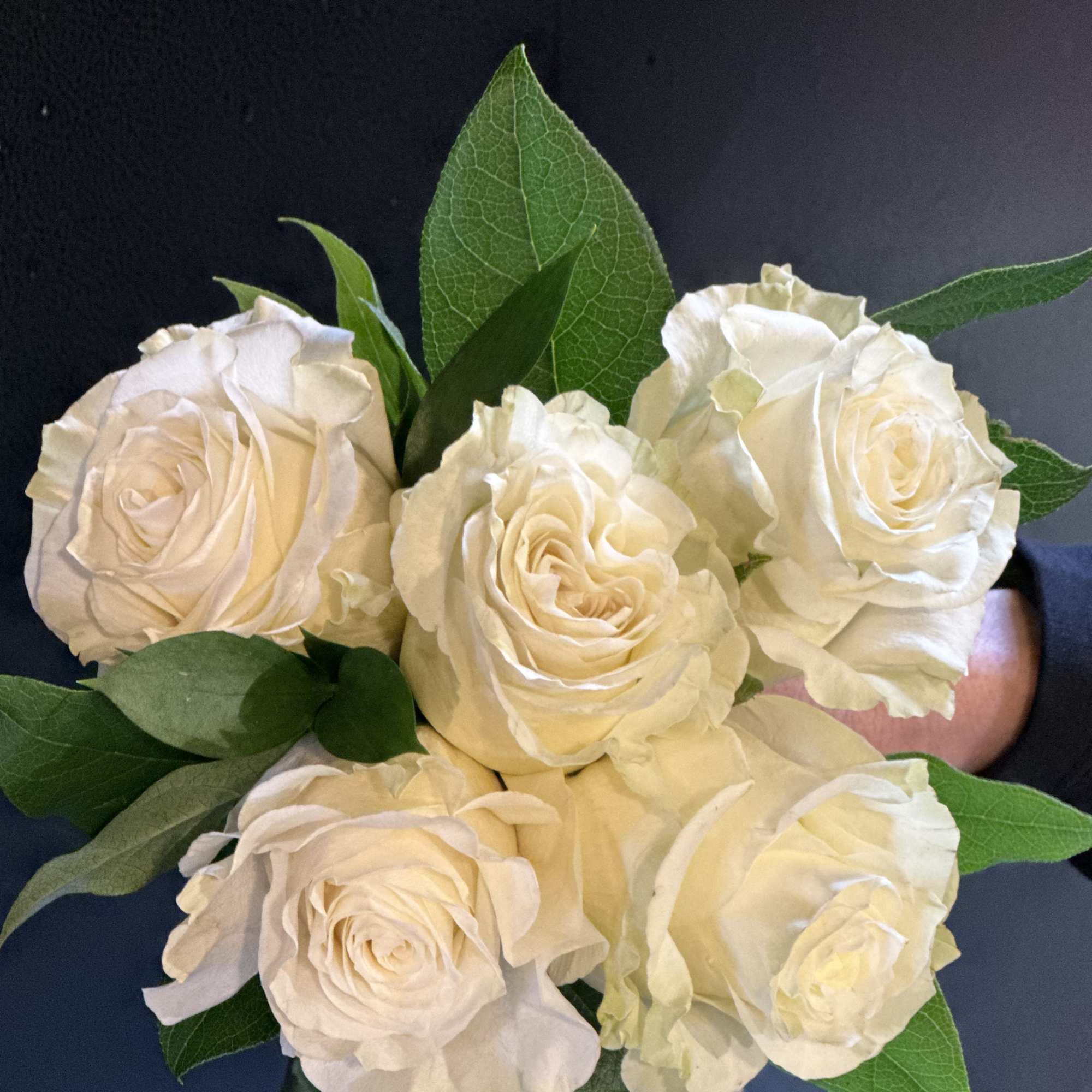 Bouquet of cream-white roses with green leaves