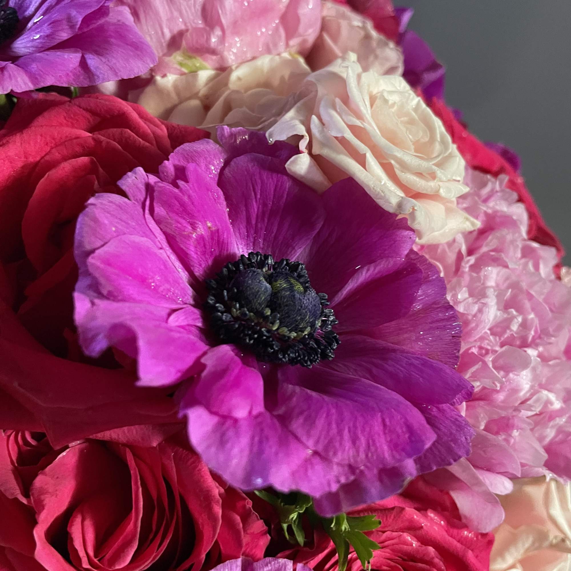 Close-up bouquet of pink and purple flowers with cream roses