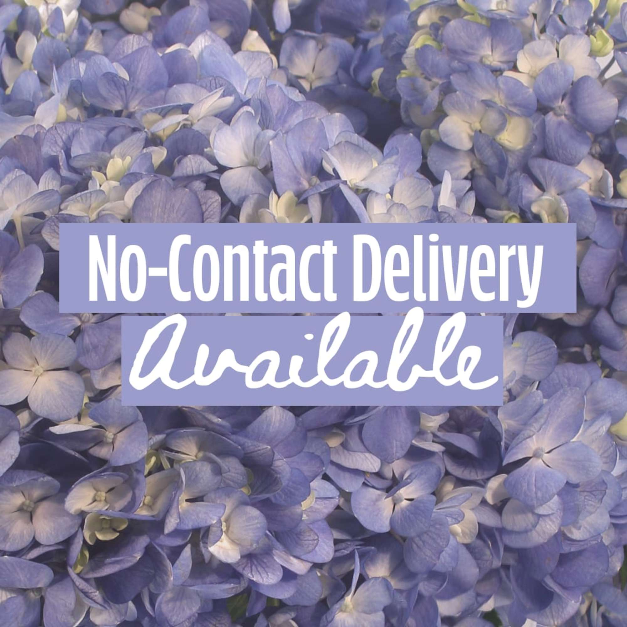 Lavender hydrangea blooms with a no-contact delivery sign