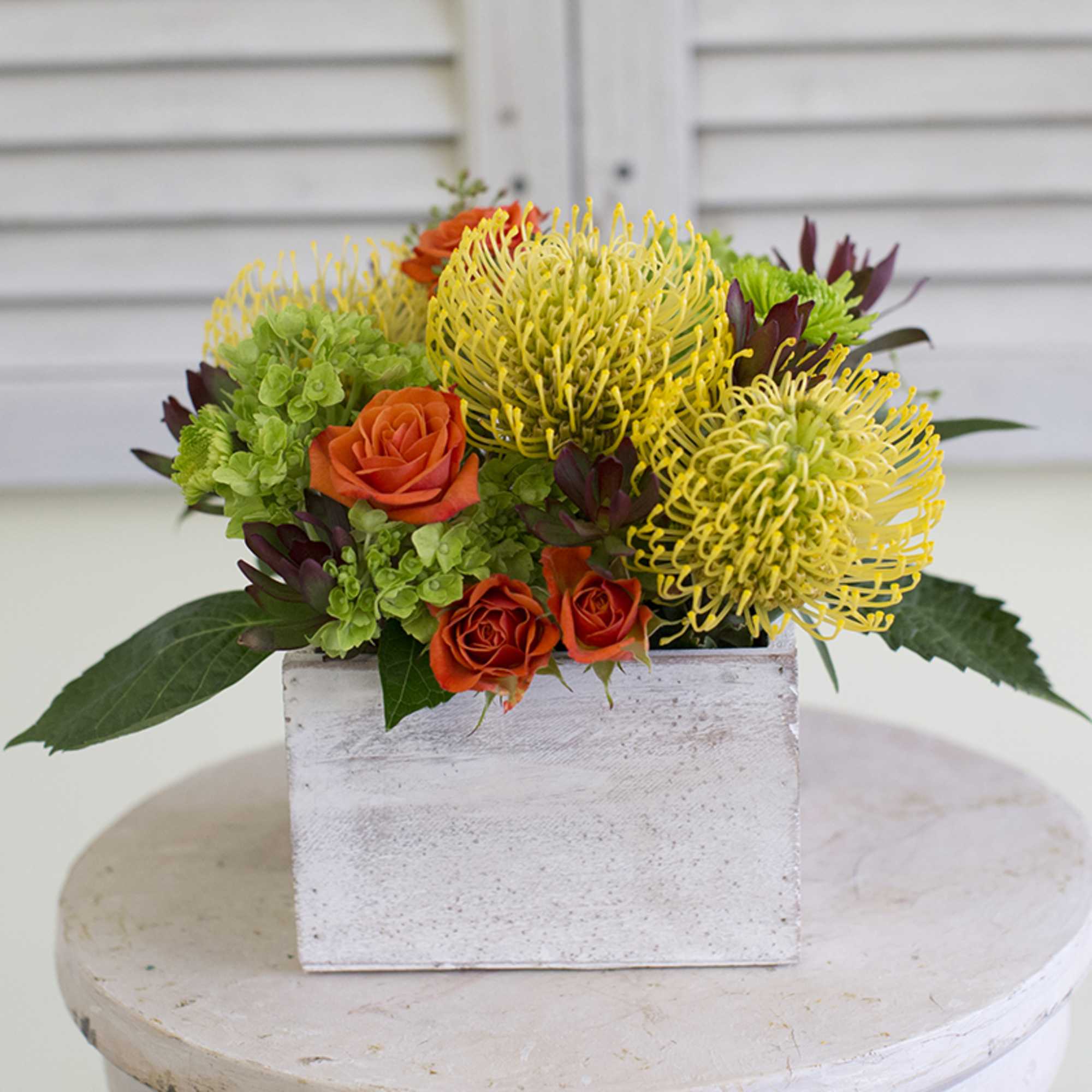 Orange roses and yellow pincushion blooms in a white wooden box