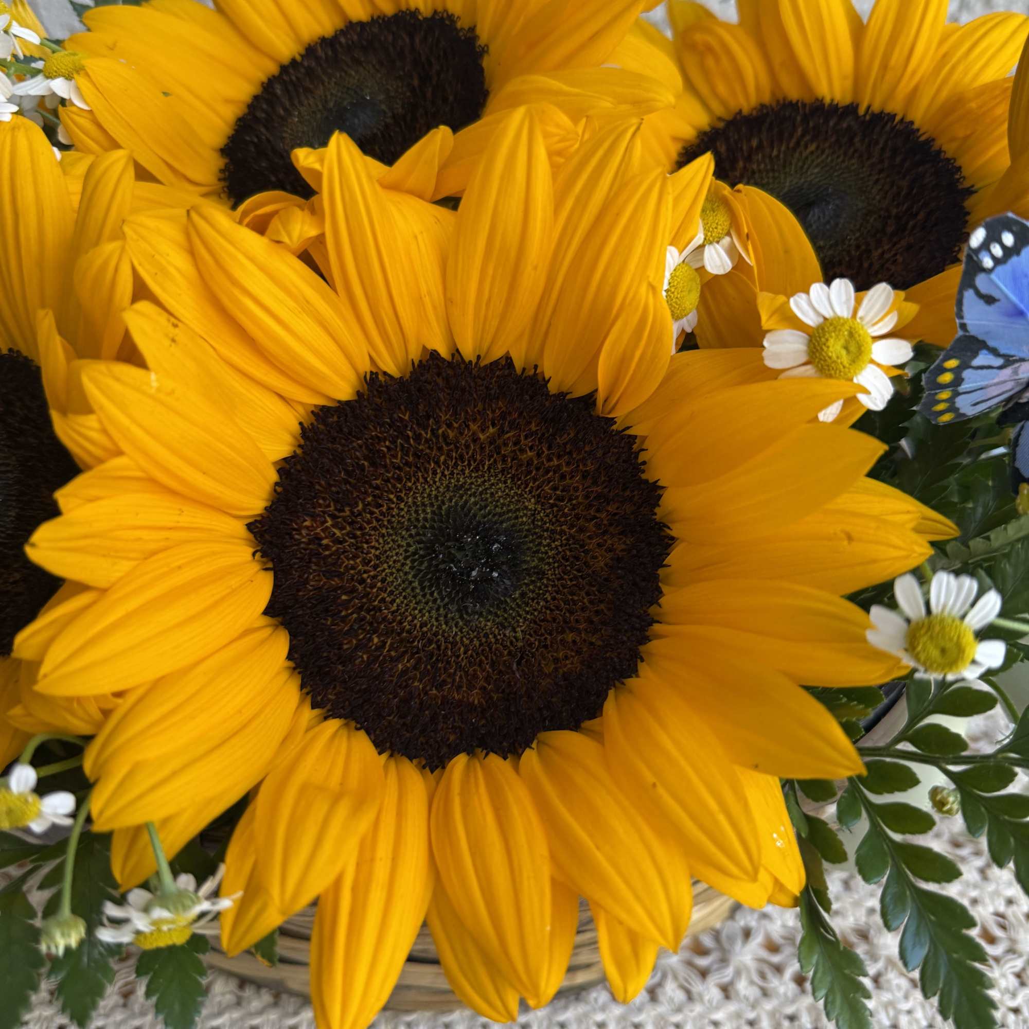  Rustic basket crafted with beautiful sunflowers, seasonal foliage, ornamental chamomile and