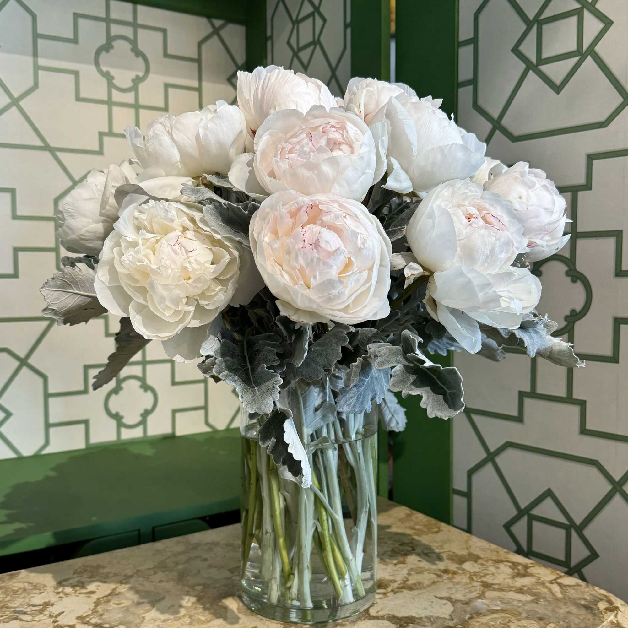 White peonies in a clear glass vase with gray foliage
