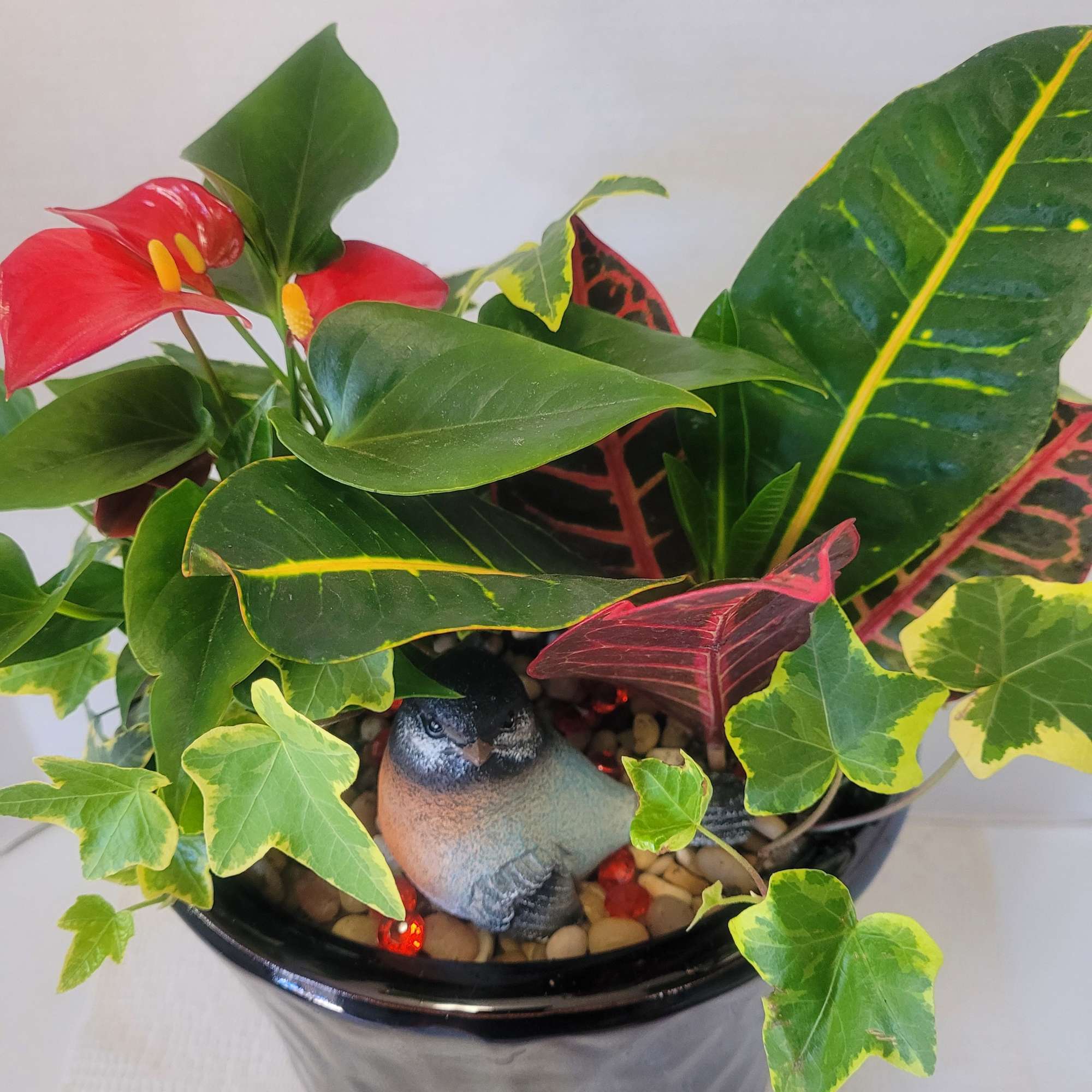 This mix is perfect for anyone looking to beautify a space with