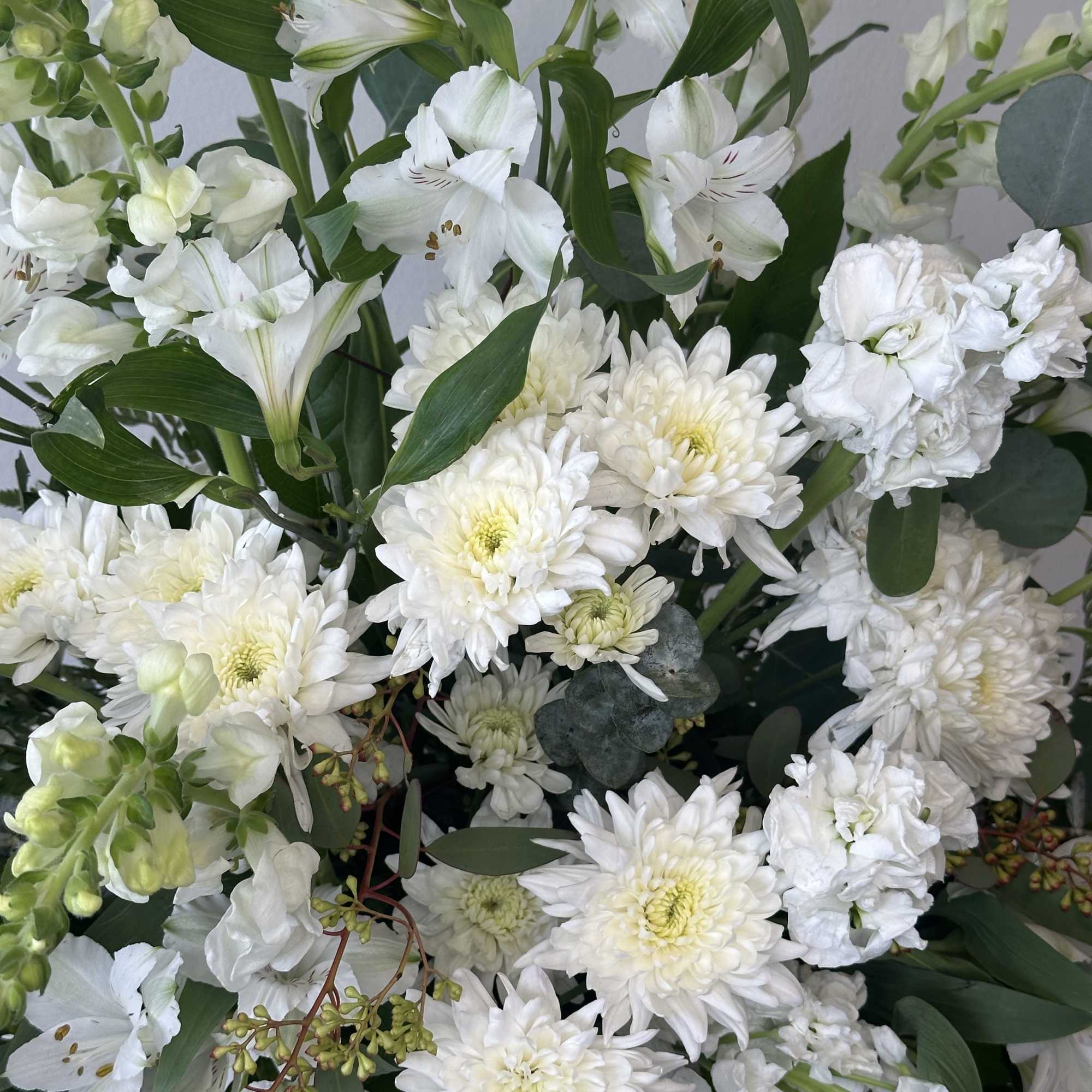 White flowers arranged in a basket with dark green foliage