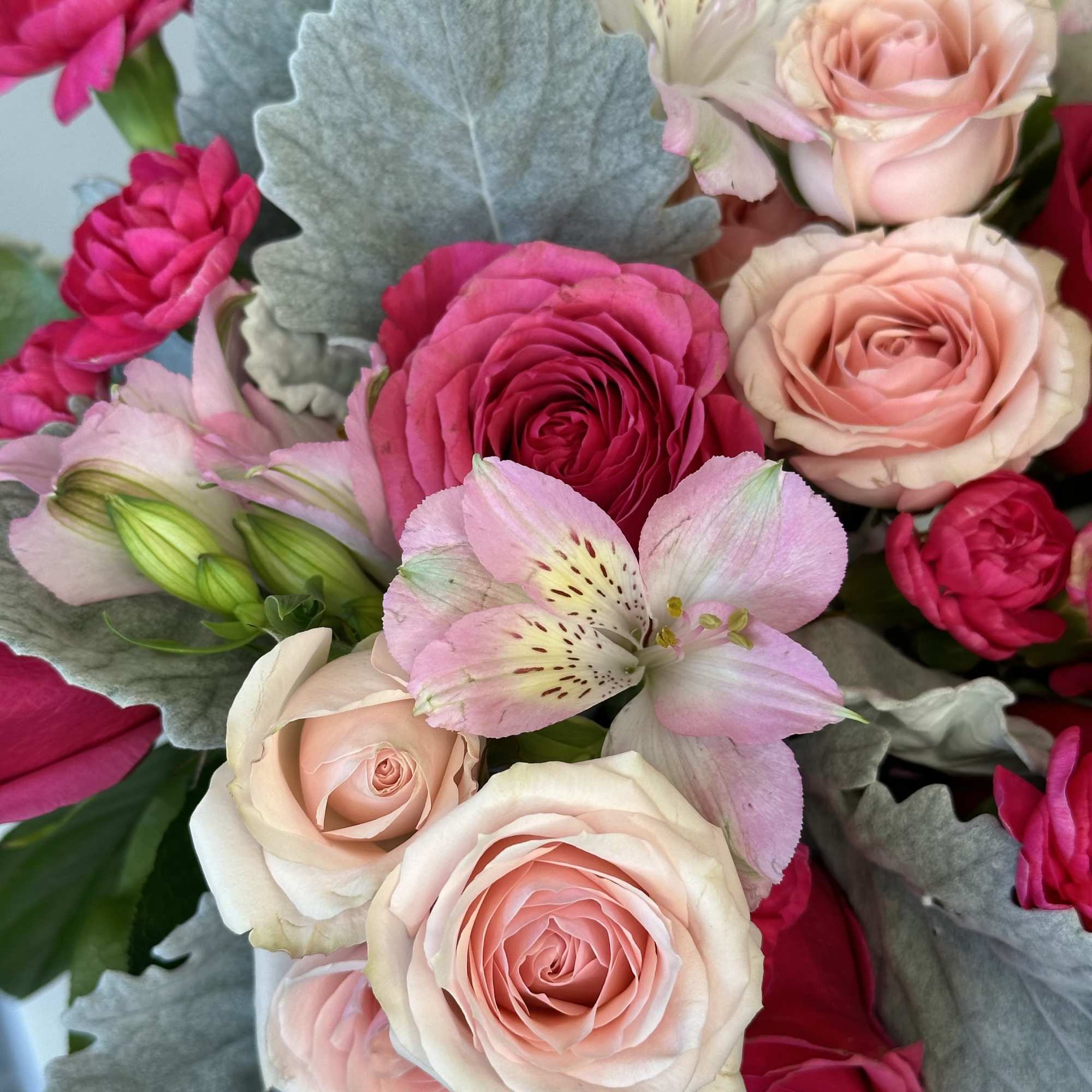 Arrangement of blush and hot pink roses with pale pink alstroemeria and silver dusty miller foliage