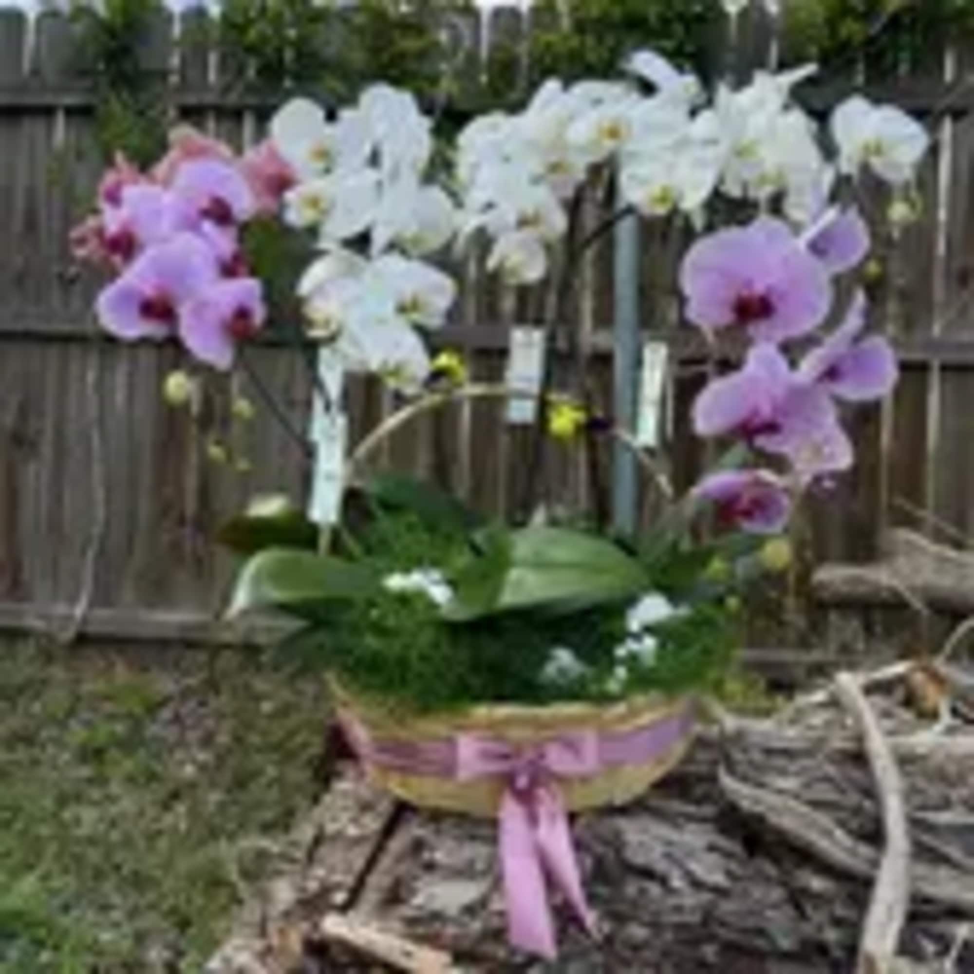 Una canasta floral dise&ntilde;ada con tonos suaves y elegantes, perfecta para transmitir