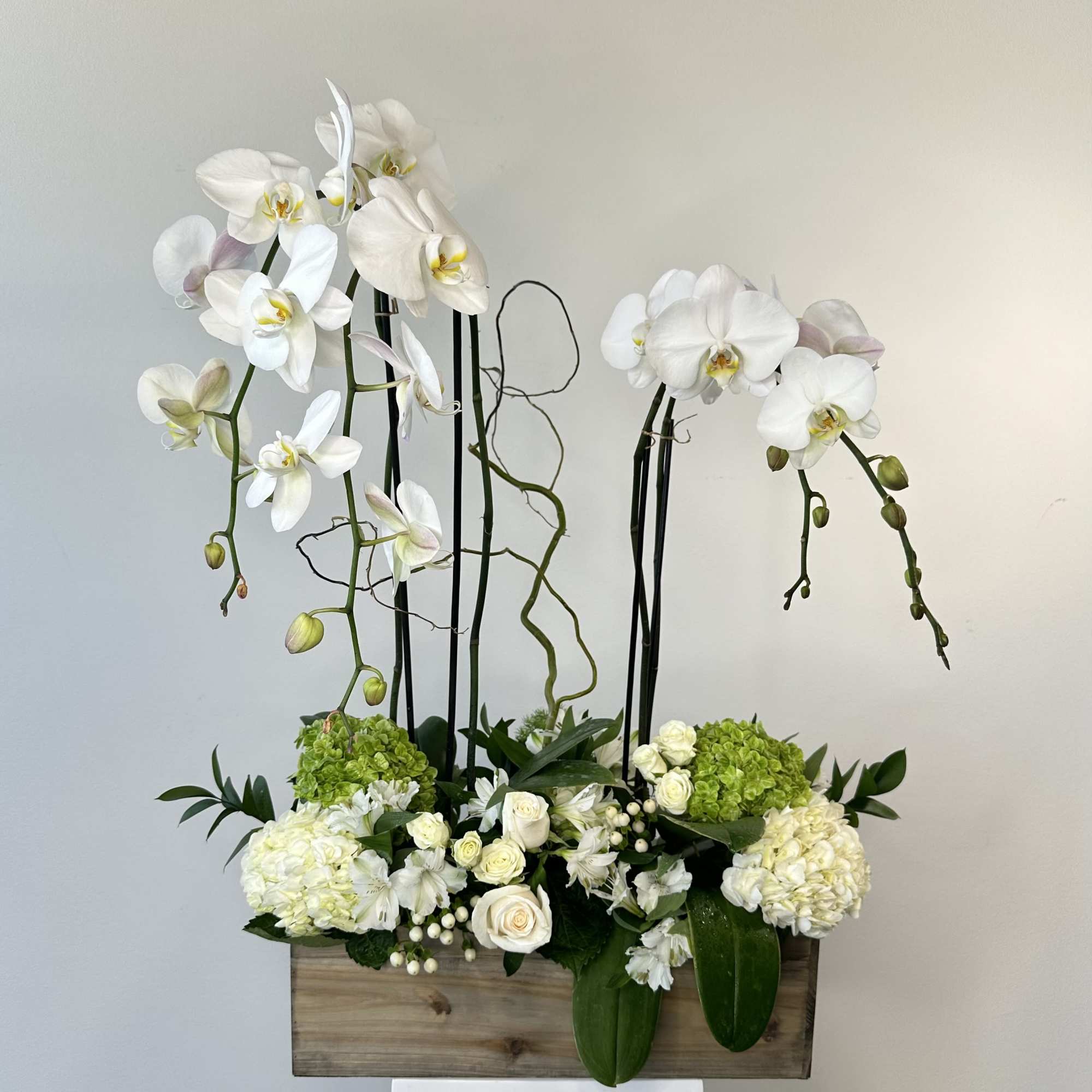 Escape into serene elegance with the Orchid Paradise flower arrangement, a luxurious