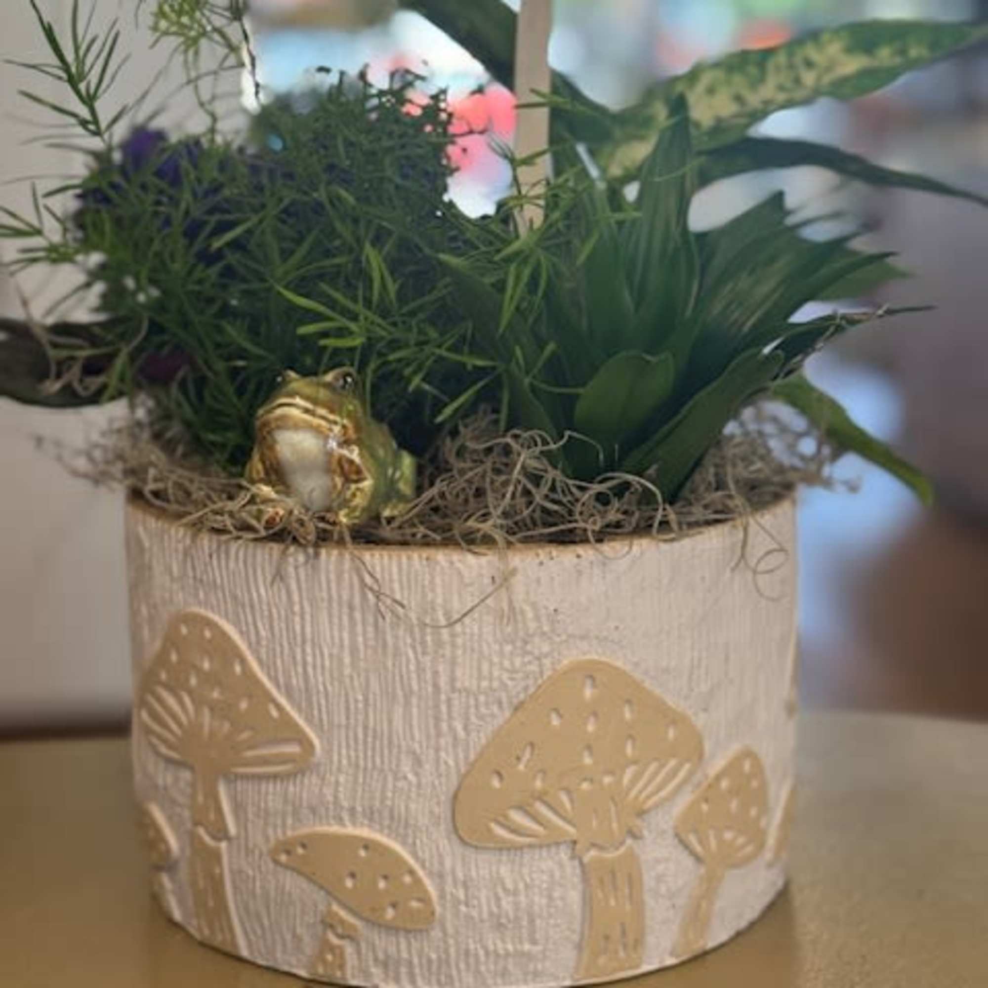 Plants in a mushroom container with a critter