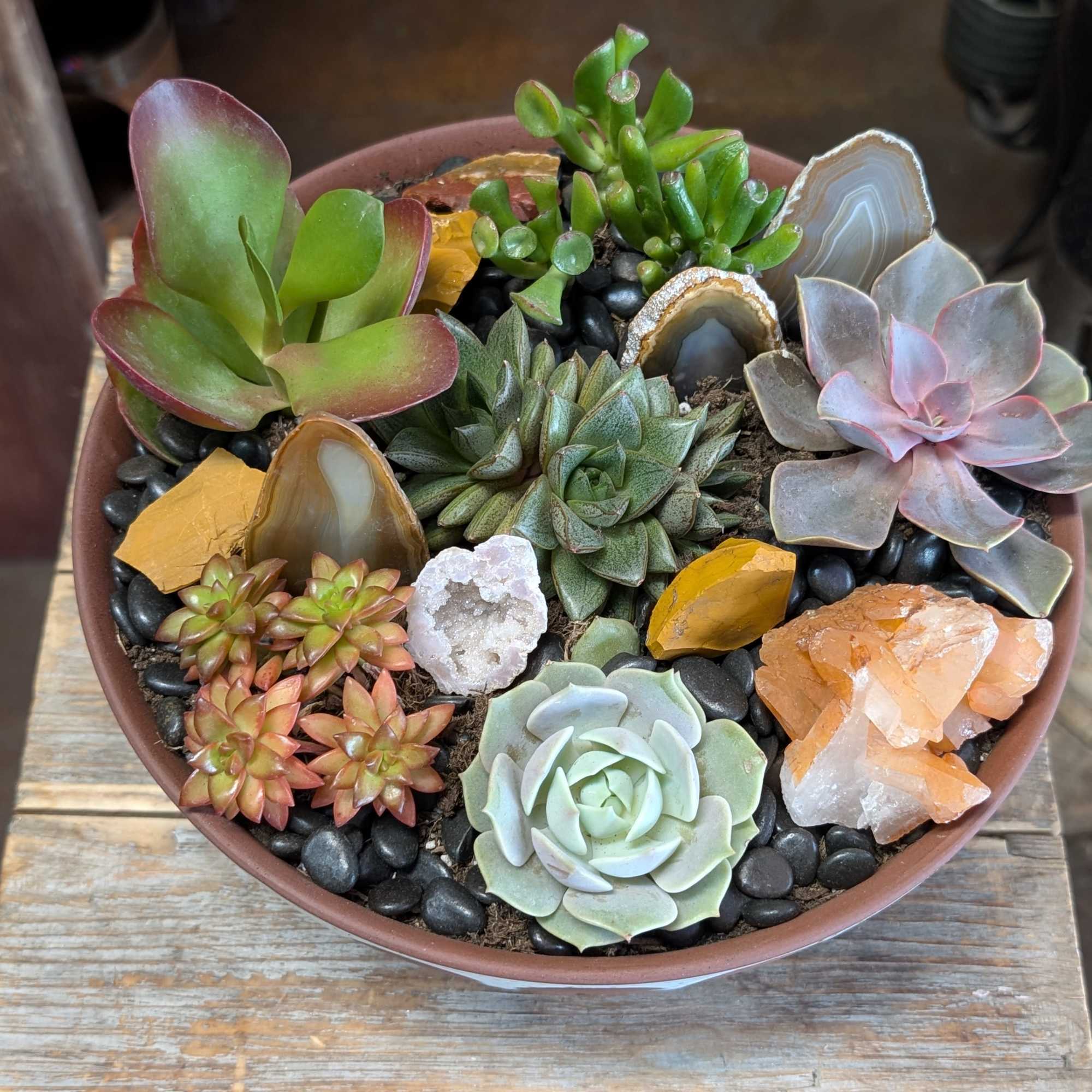 Introducing Arlo &mdash; a soulful desert garden rooted in quiet strength and