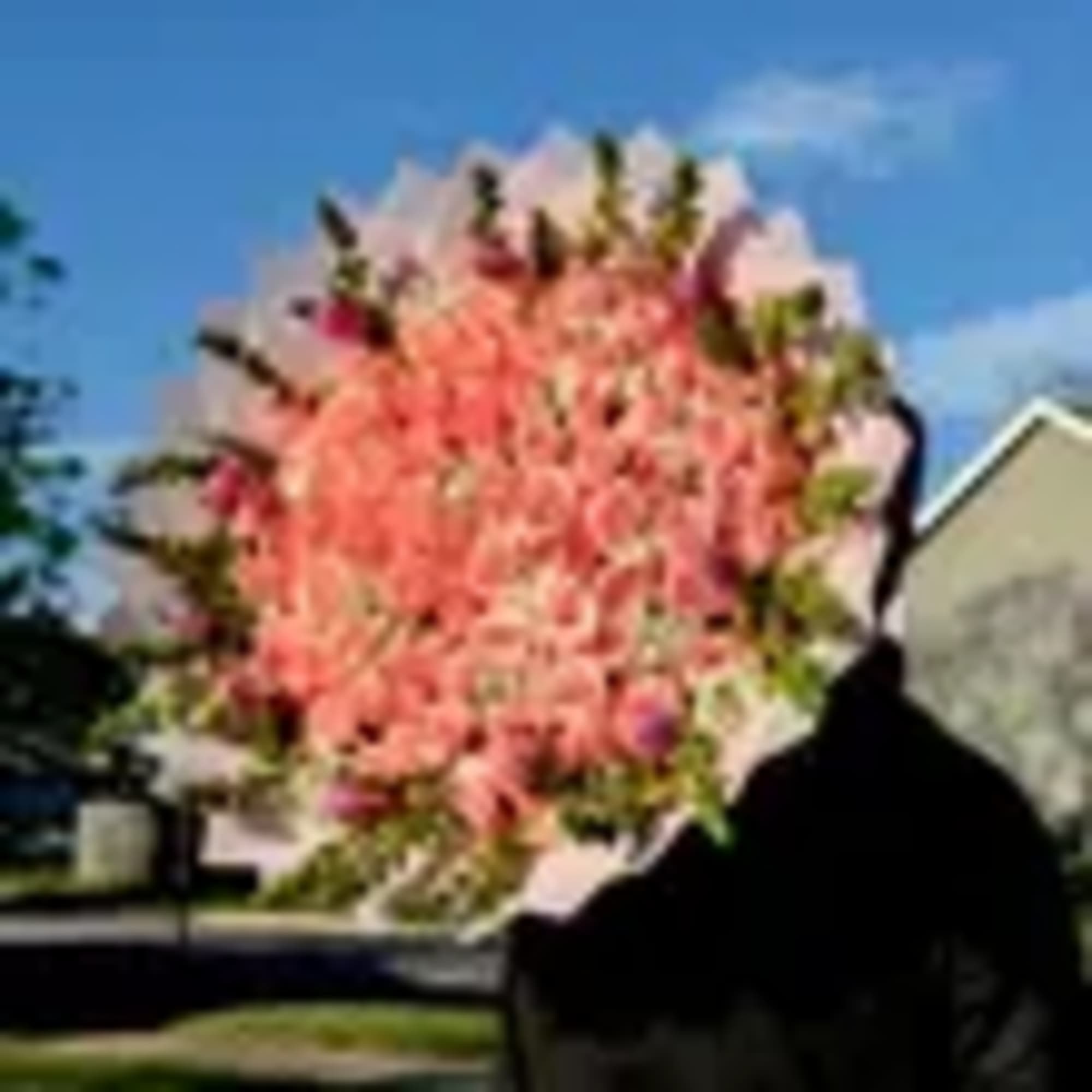  Ideal para: aniversarios, cumplea&ntilde;os, detalles rom&aacute;nticos o simplemente para impresionar

 Flores