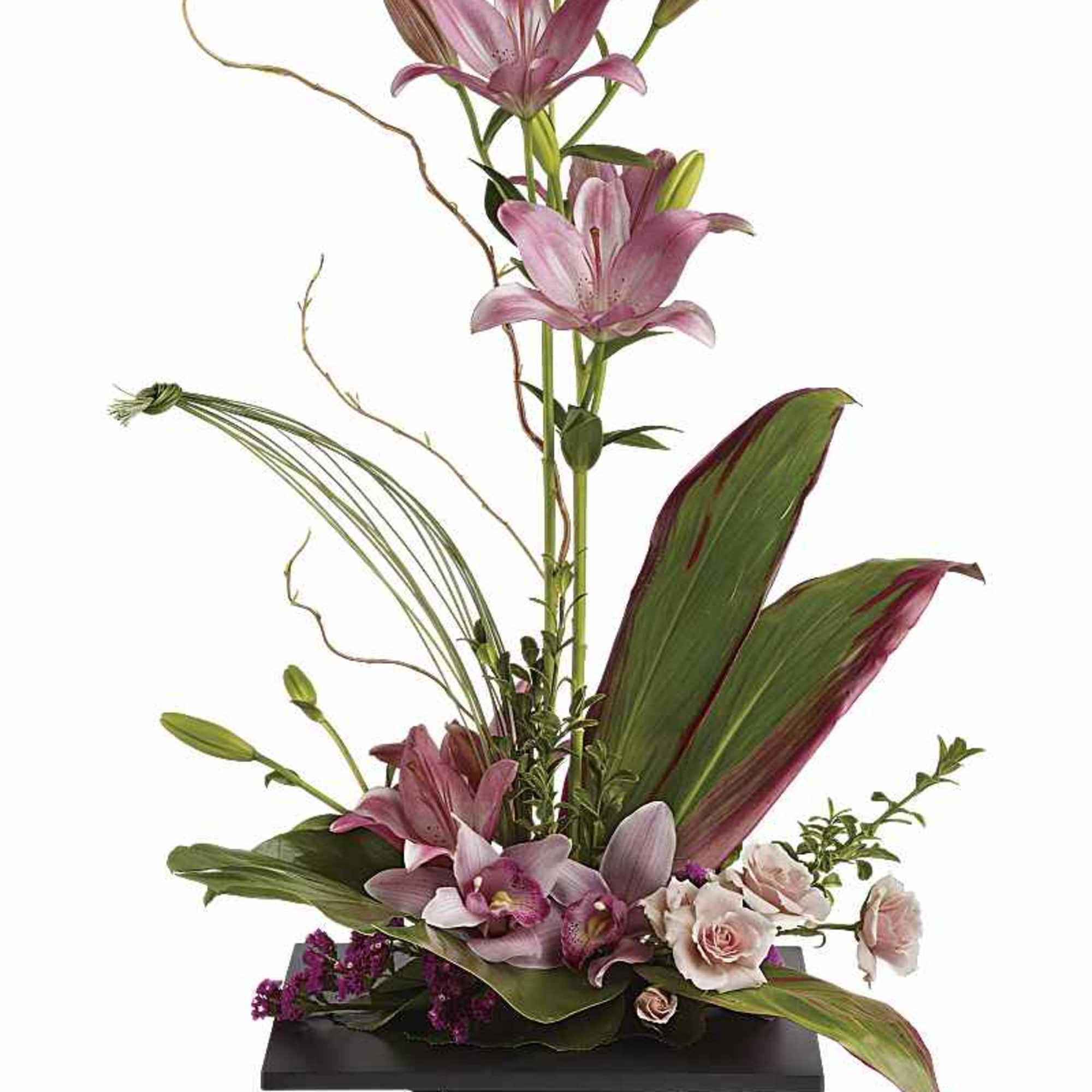 A graceful study in height and harmony, Elegance In Bloom rises with