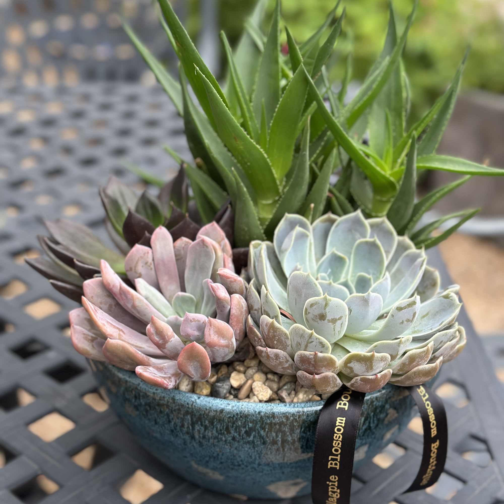 For the plant lover who values simplicity. This 10-inch low bowl features