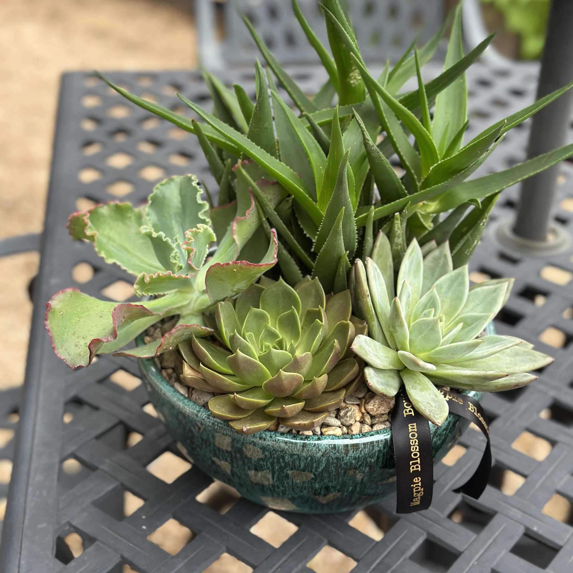 For the plant lover who values simplicity. This 10-inch low bowl features