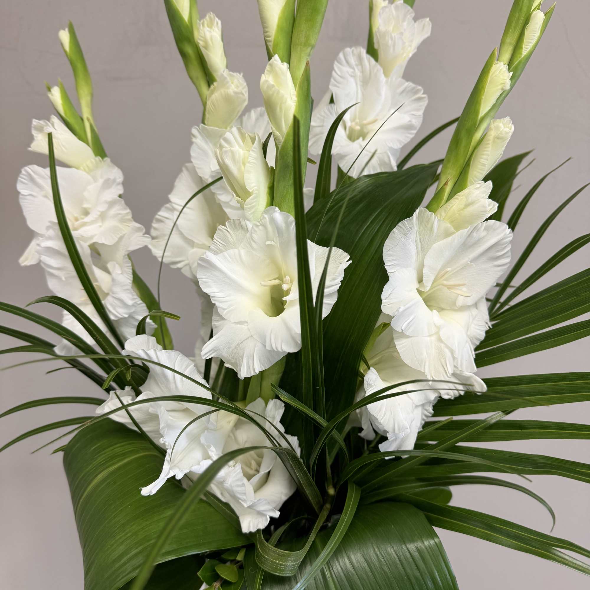 White gladiolus arrangement with broad green leaves