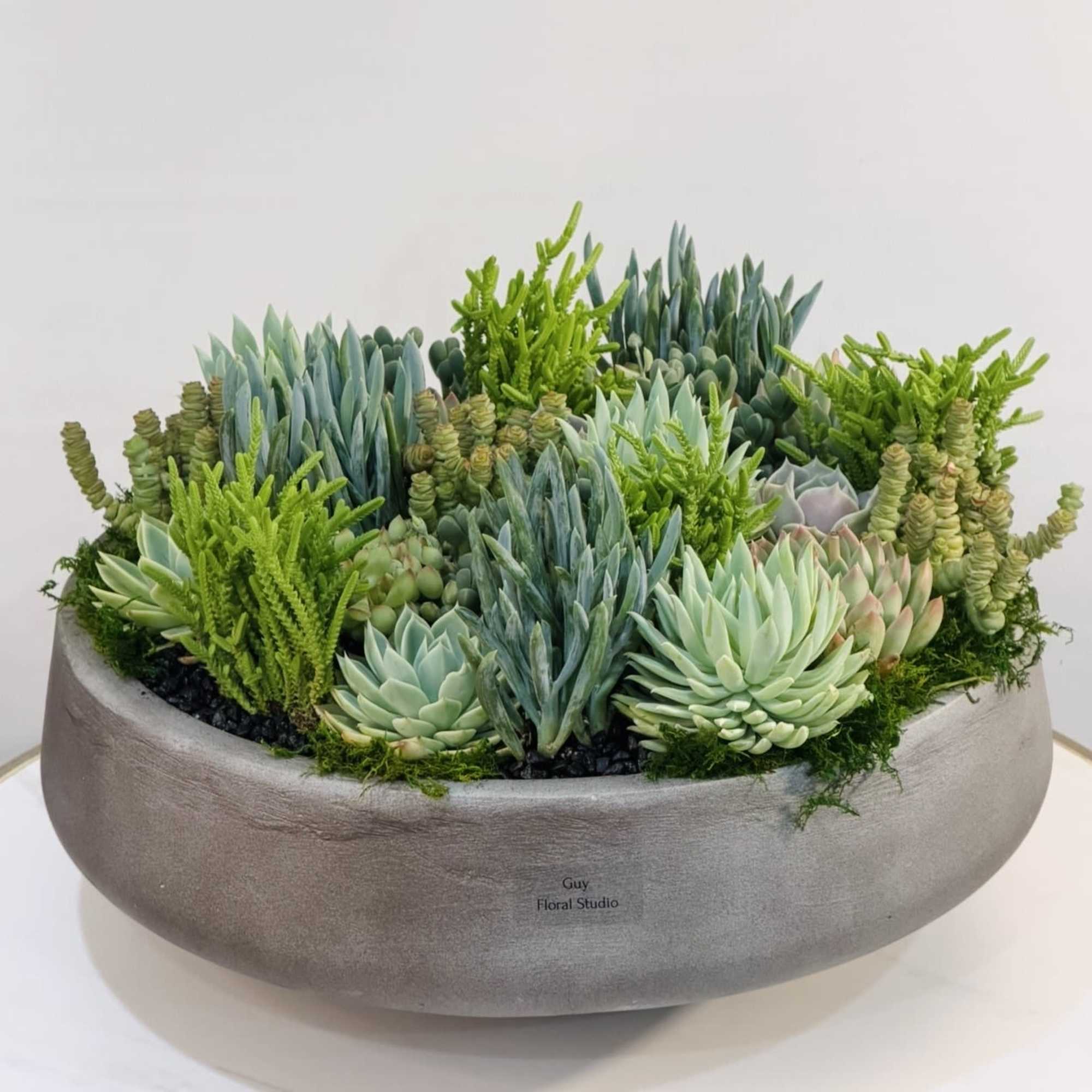 Make a bold yet elegant statement with this modern succulent arrangement, exclusively