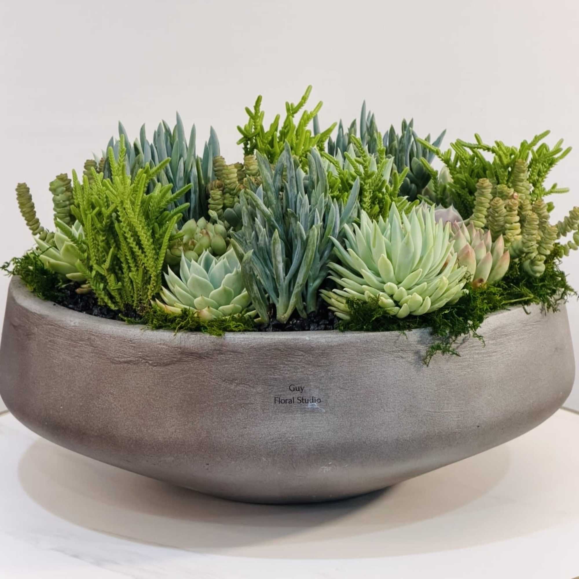 Make a bold yet elegant statement with this modern succulent arrangement, exclusively