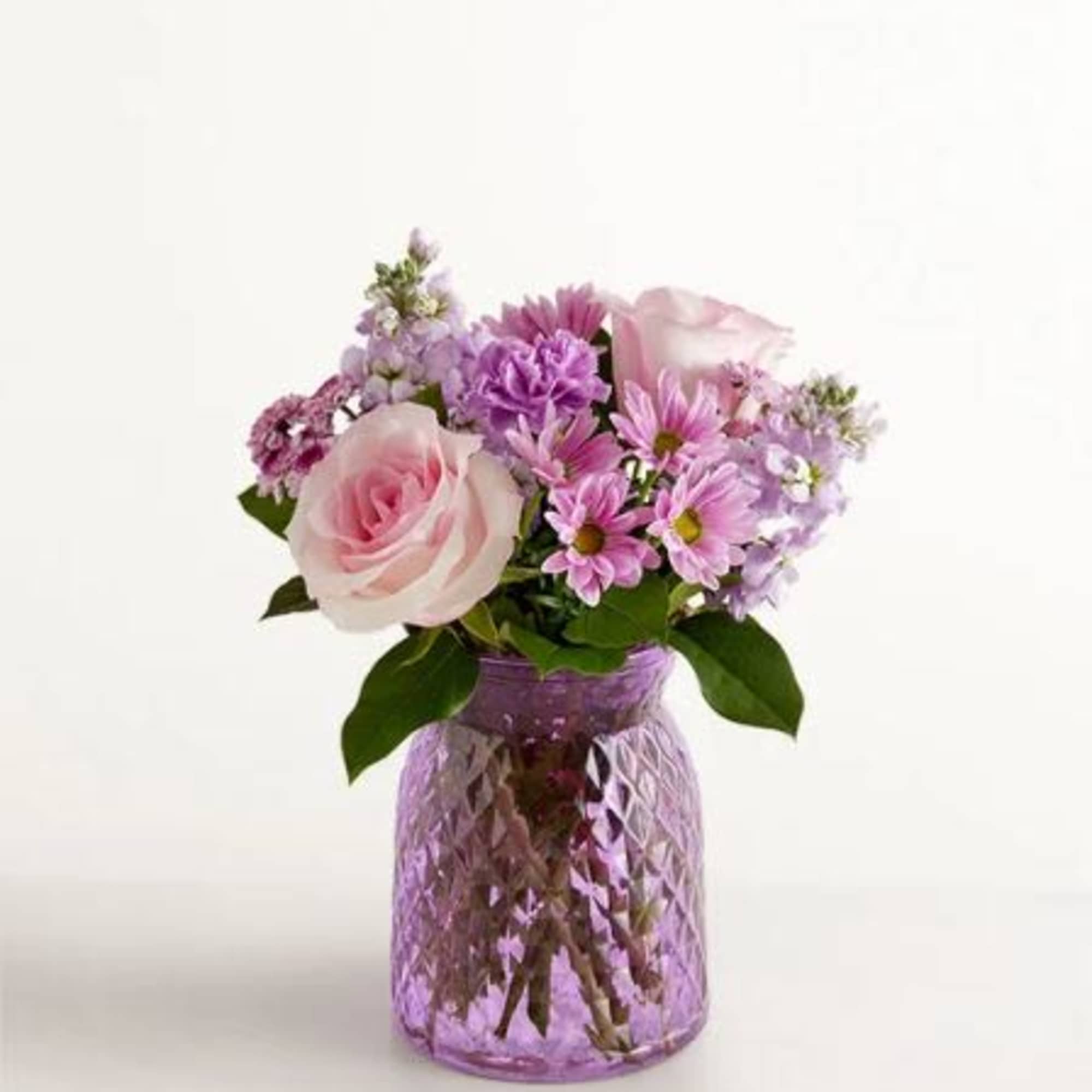  Pet Friendly?
No This arrangement contains daisy chrysanthemums, which are toxic to
