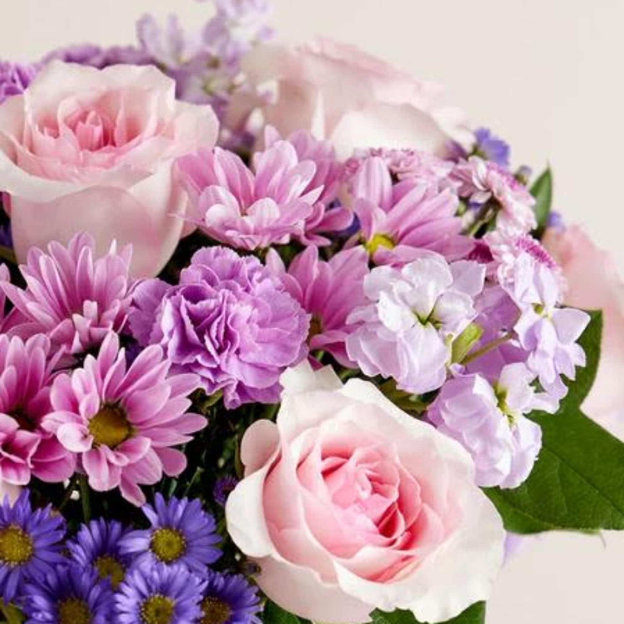  Pet Friendly?
No This arrangement contains daisy chrysanthemums, which are toxic to