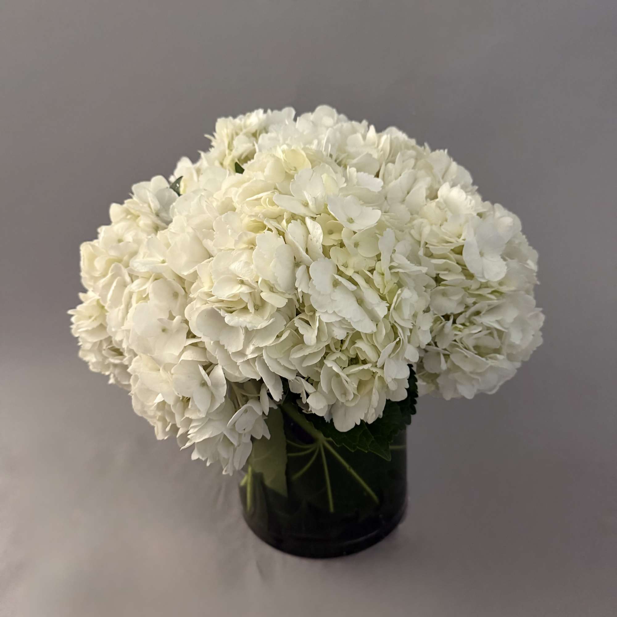 A dense, rounded bouquet of white hydrangeas forms a cloudlike mound that