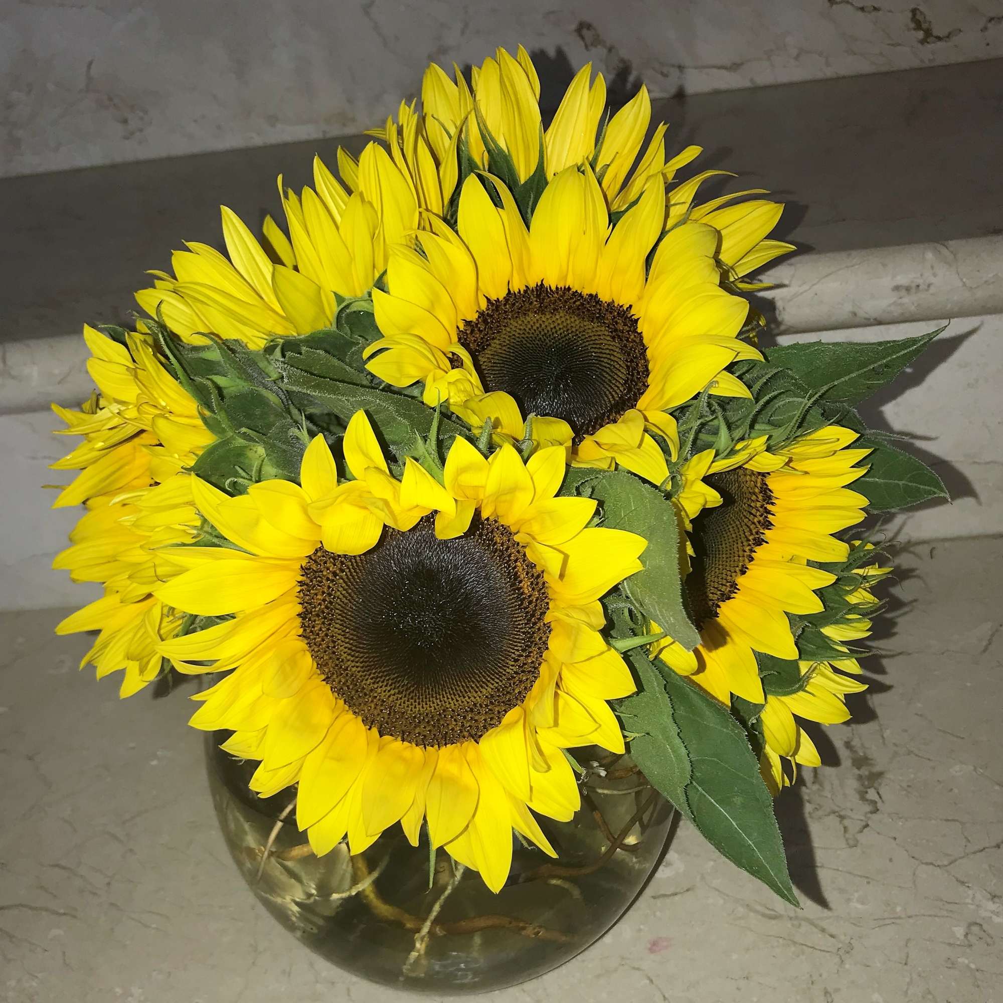 Compact arrangement of bright yellow sunflowers in a clear round glass vase