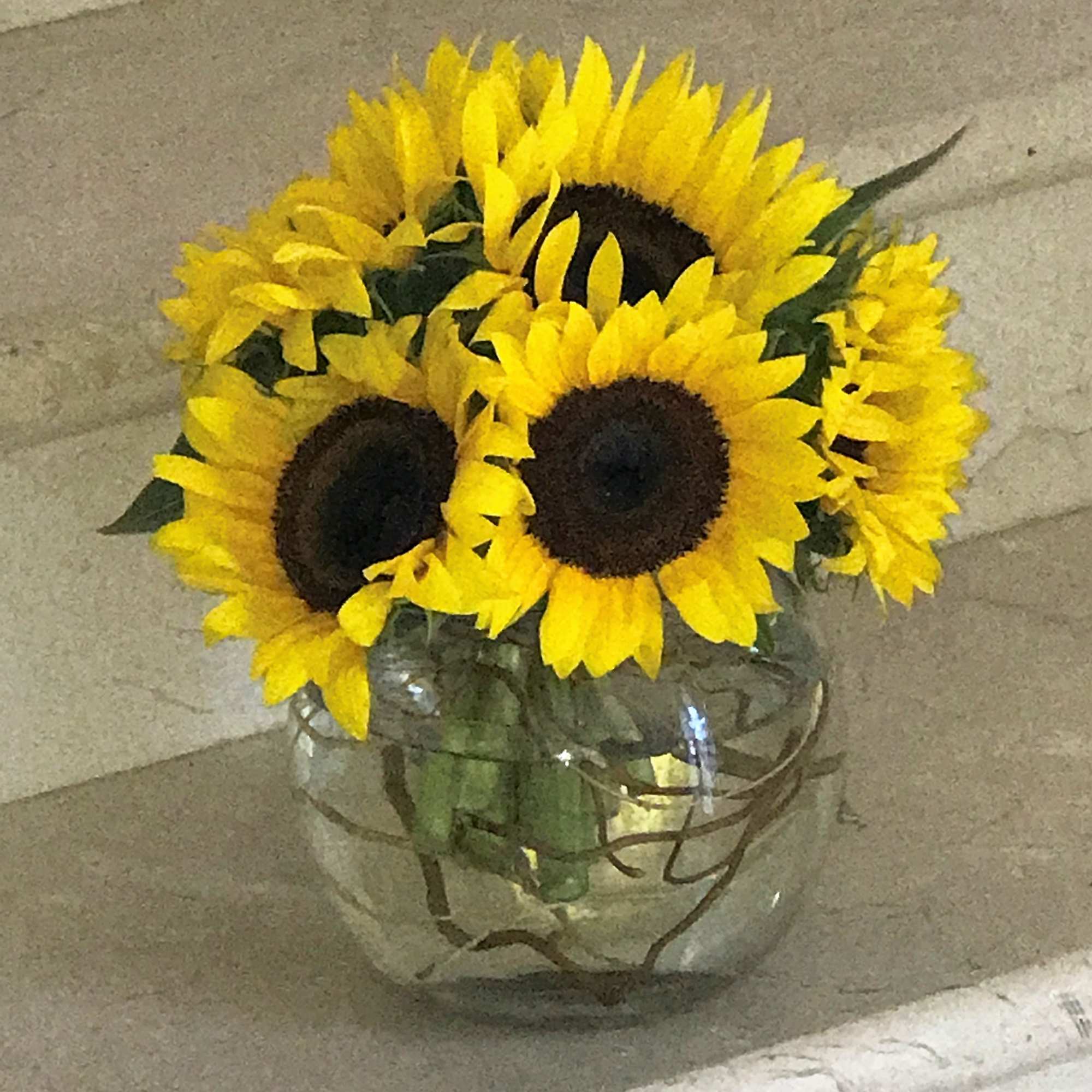 Compact arrangement of bright yellow sunflowers in a round clear glass vase