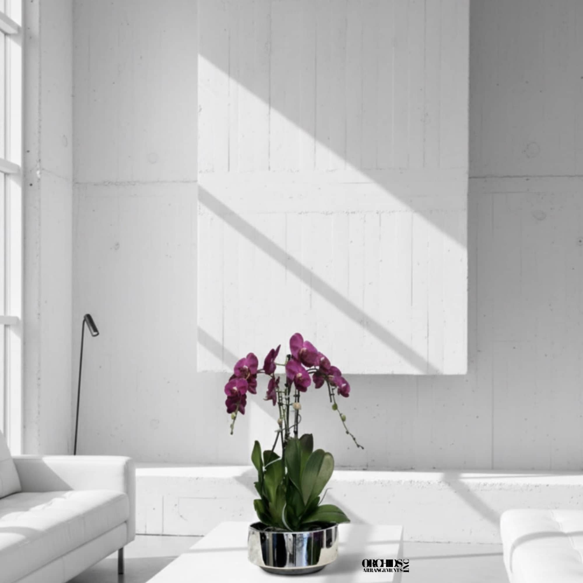 Purple orchids in a silver pot on a white table