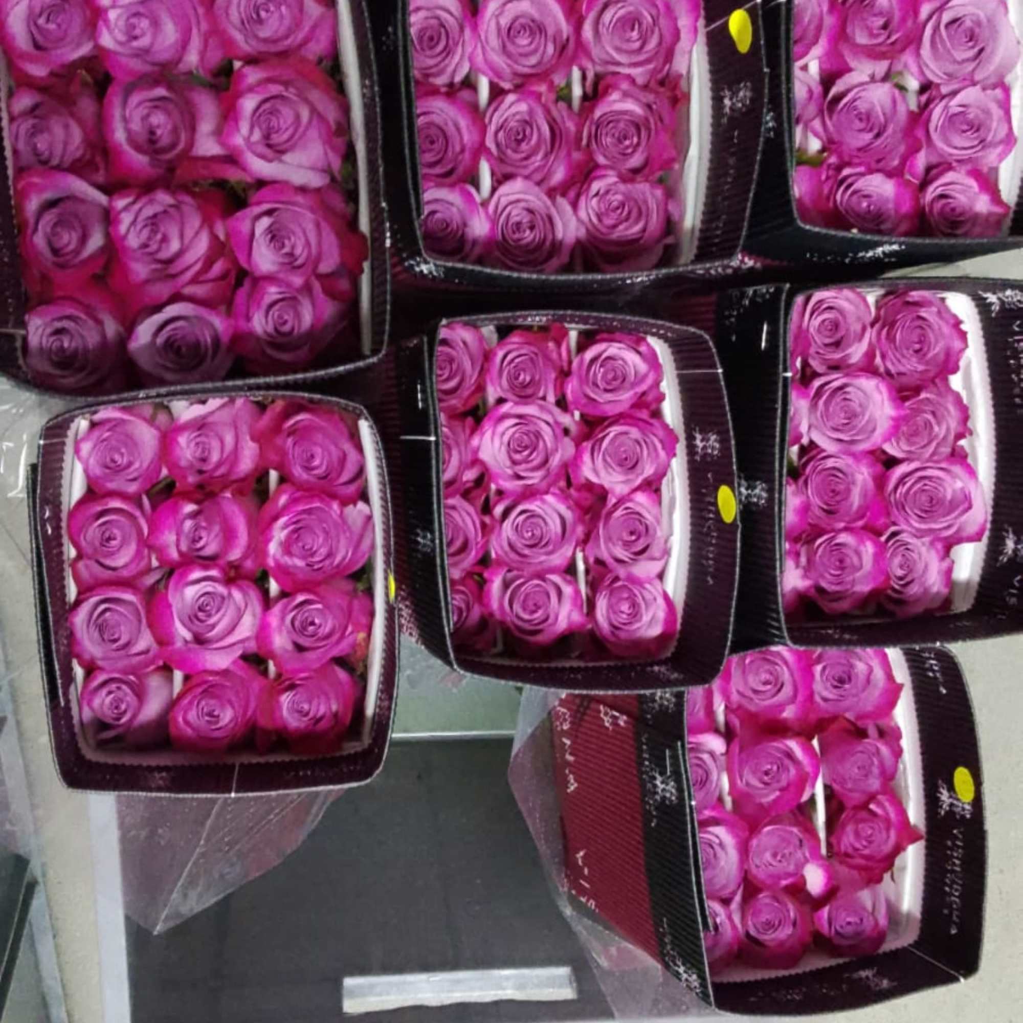 A lush, tightly packed rose arrangement that reads like a garden in
