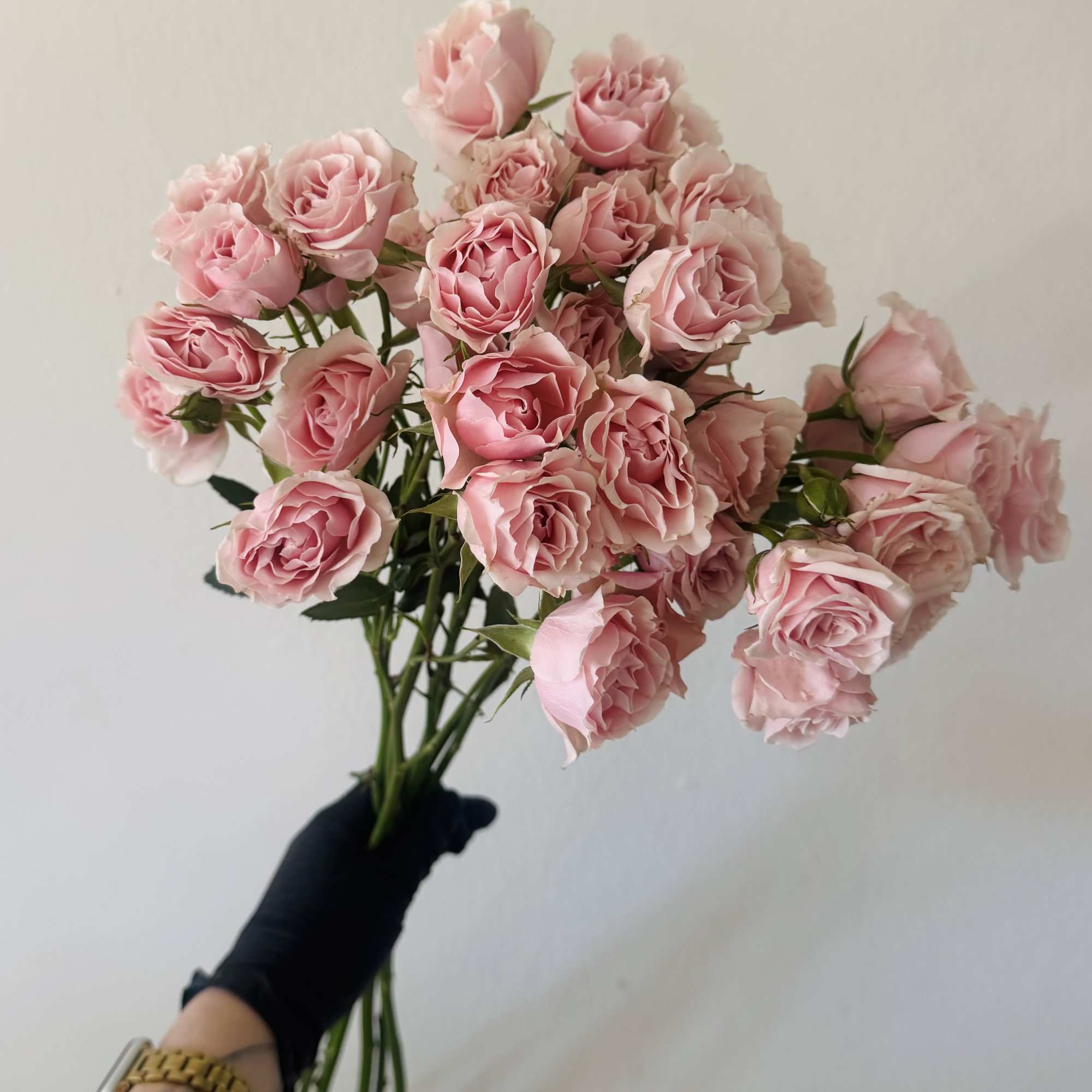 

A fresh bunch of charming spray roses wrapped in simple kraft paper