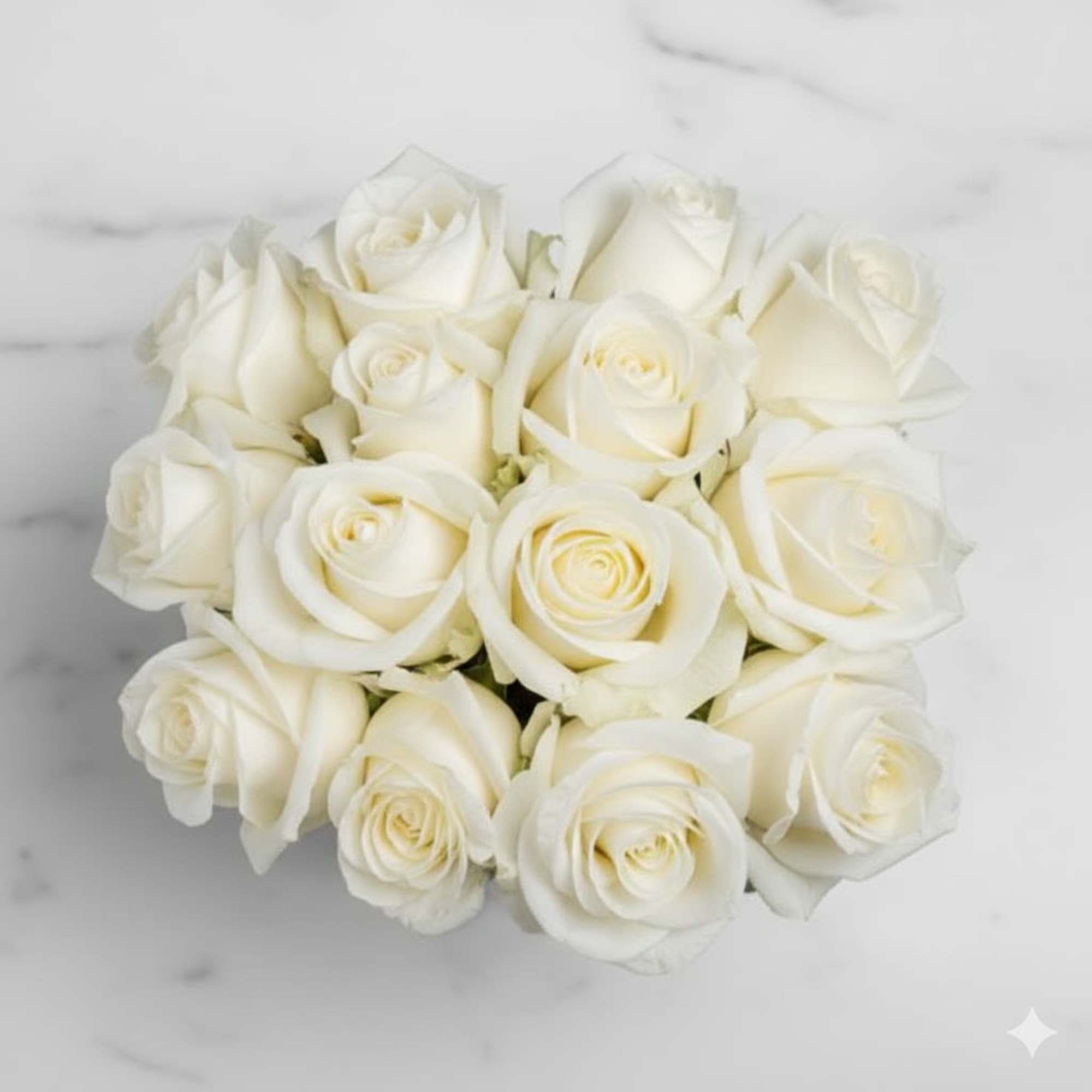  Pet Friendly?
YES  &mdash; White Roses are generally safe, but mixed