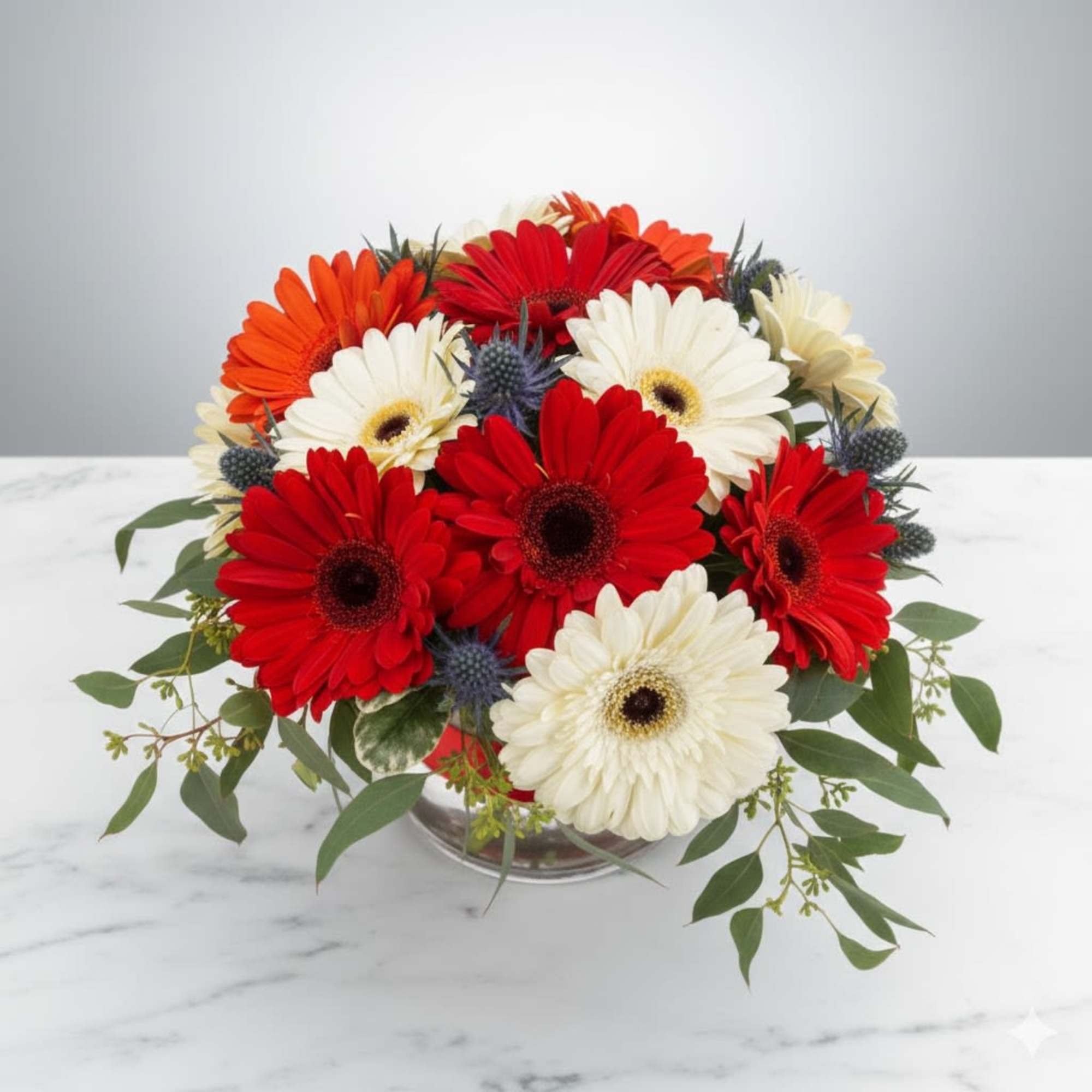  Pet Friendly?
NO &mdash; Gerbera Daisies are generally safe, but red dye