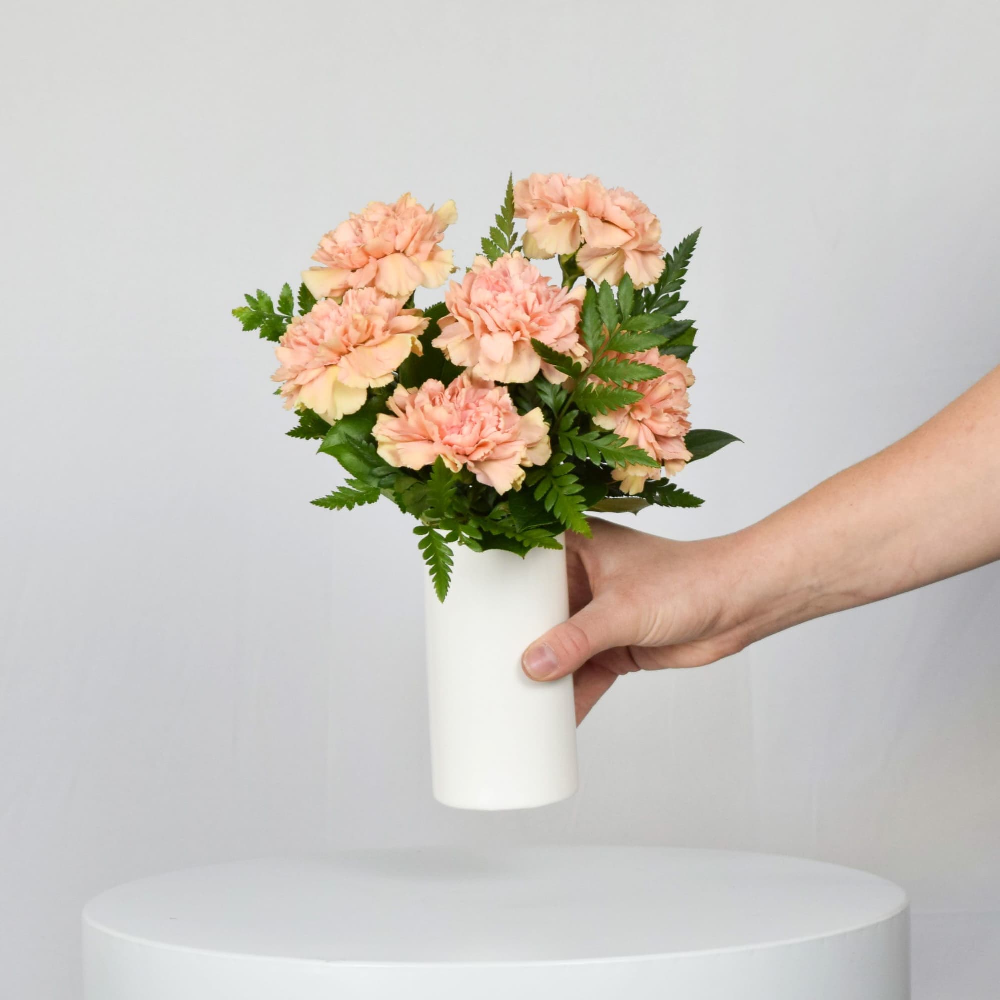 Peach carnations in a white vase