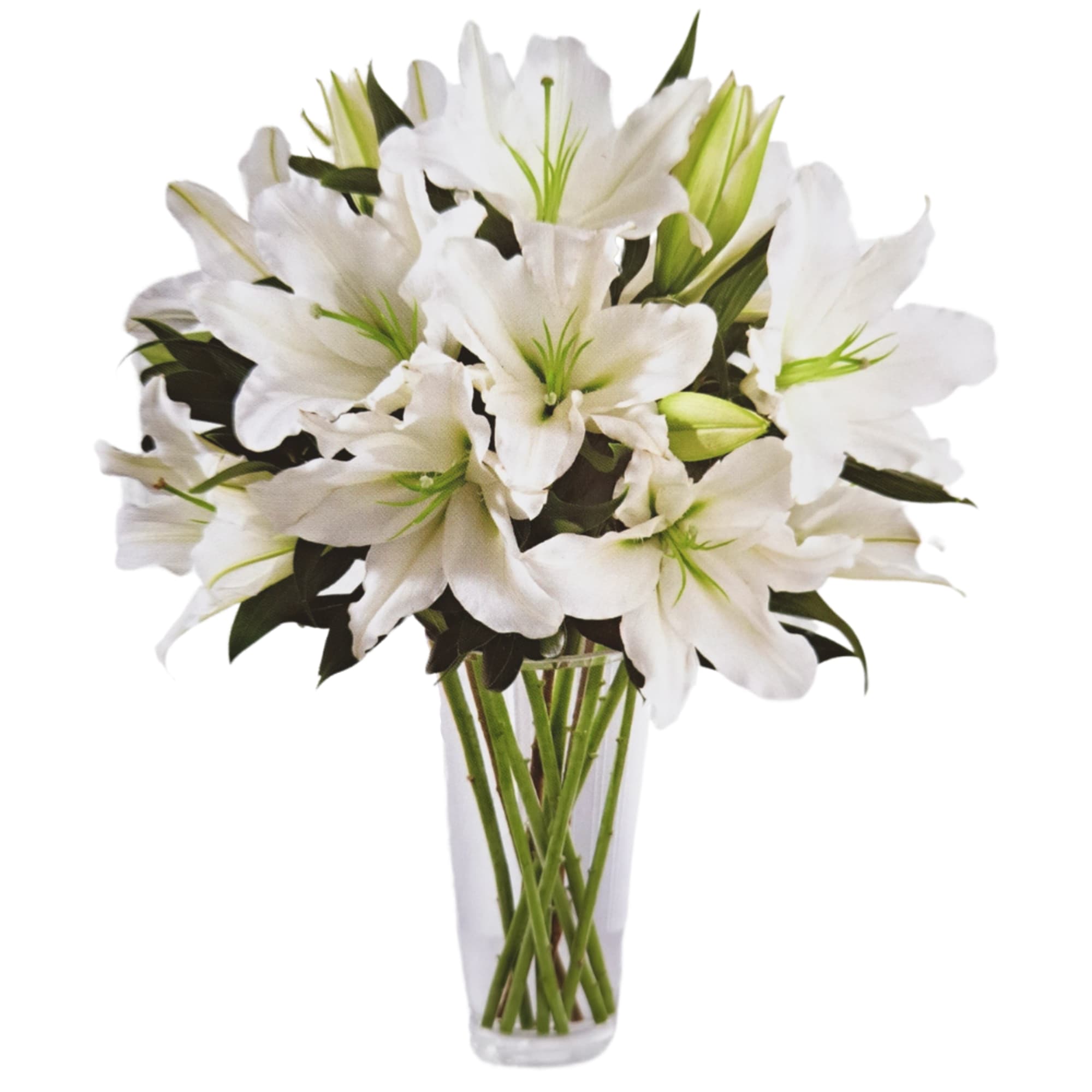 White lilies arranged in a clear glass vase