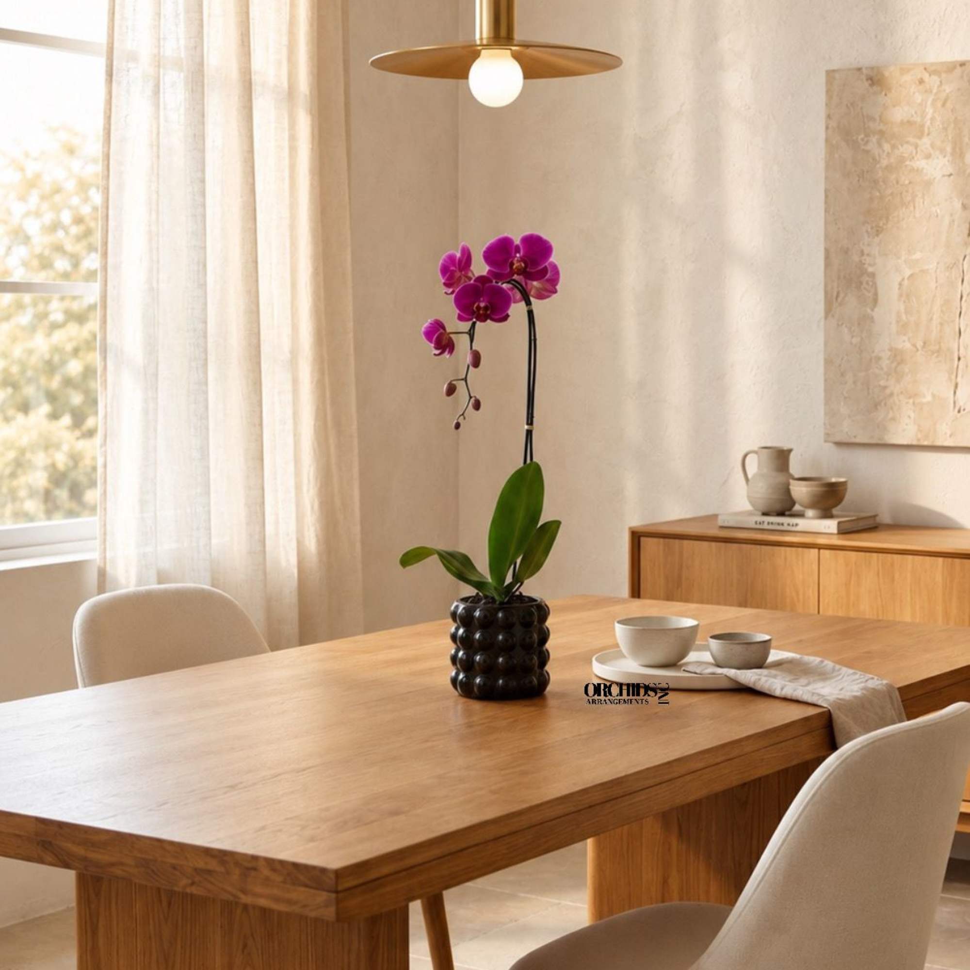 A luxury Single Purple Phalaenopsis orchid Arrangement designed for gifting with a