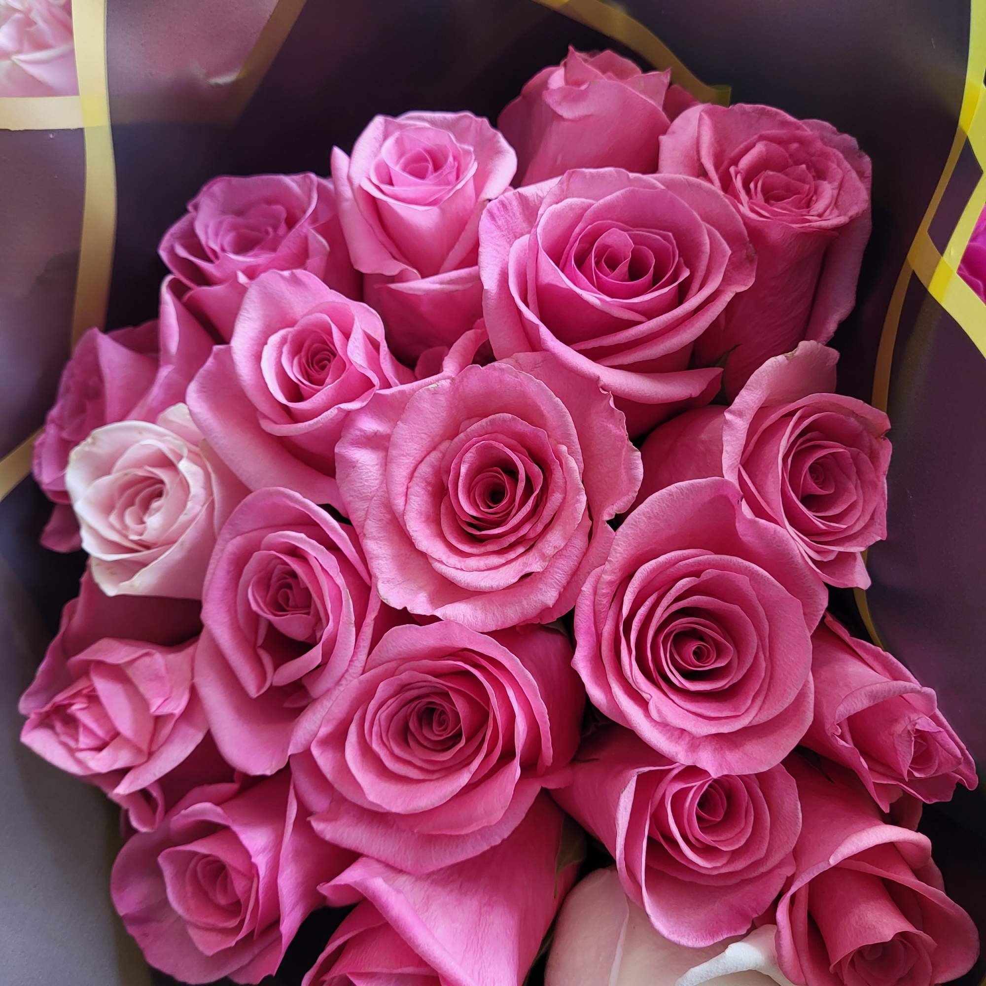 Bouquet of pink and white roses wrapped in dark paper with gold trim
