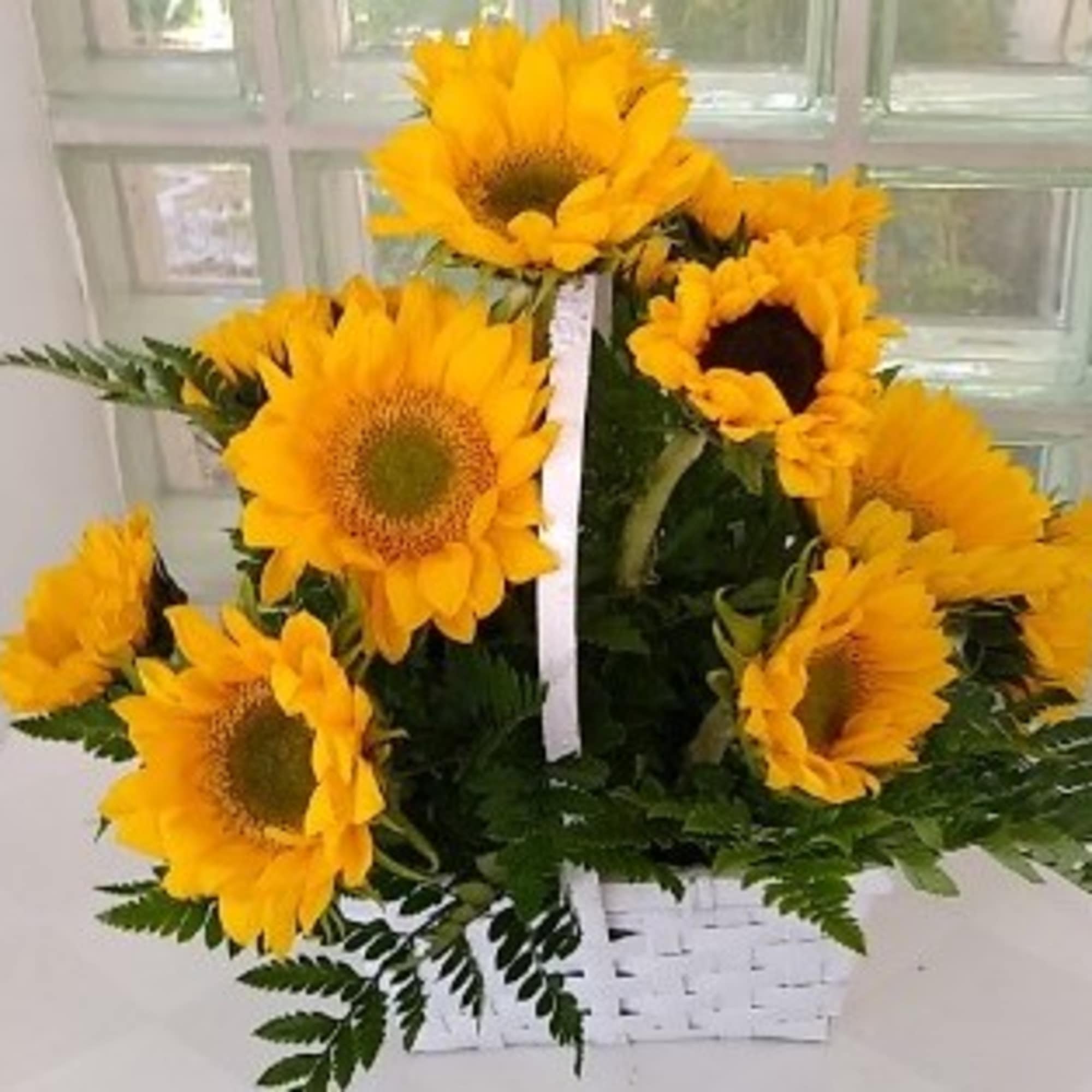 Basket of bright yellow sunflowers with a white ribbon