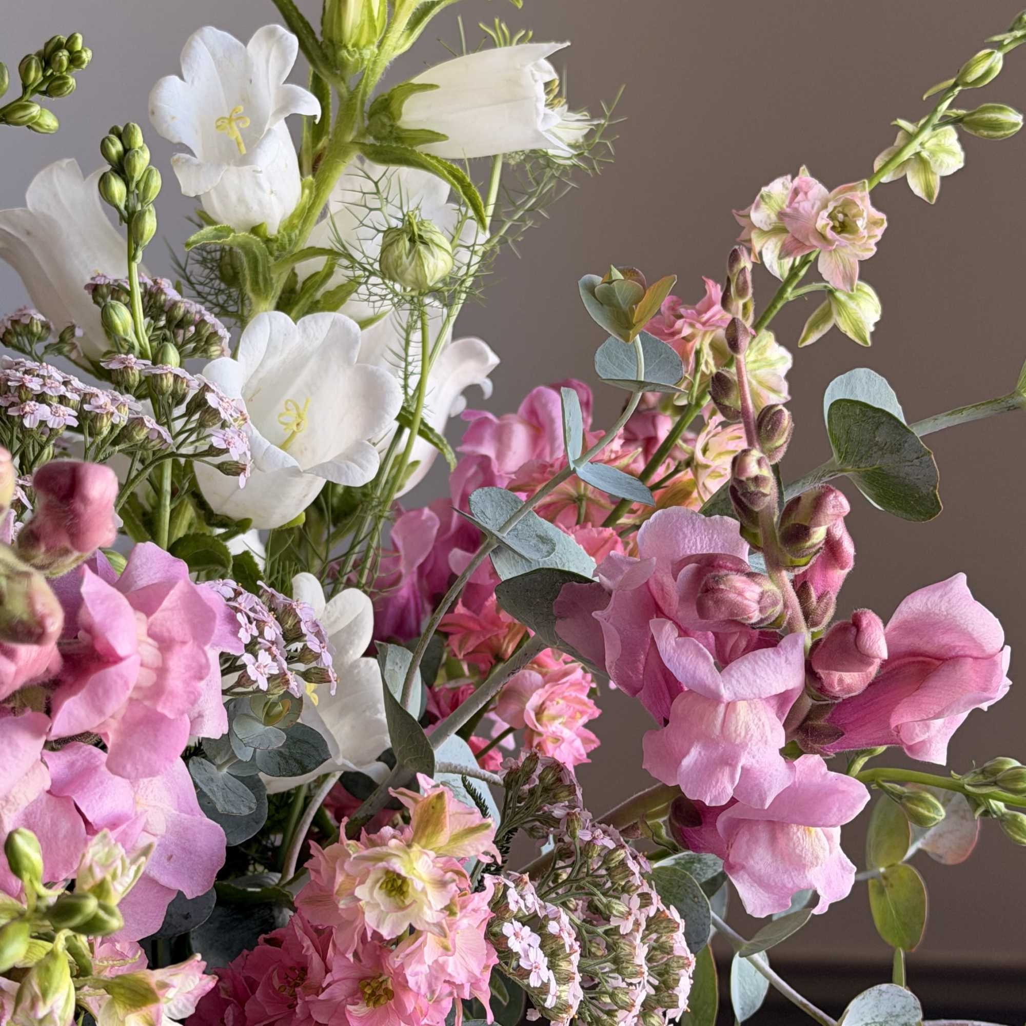 Summer's best flowers seem to be a bit on the wild side.