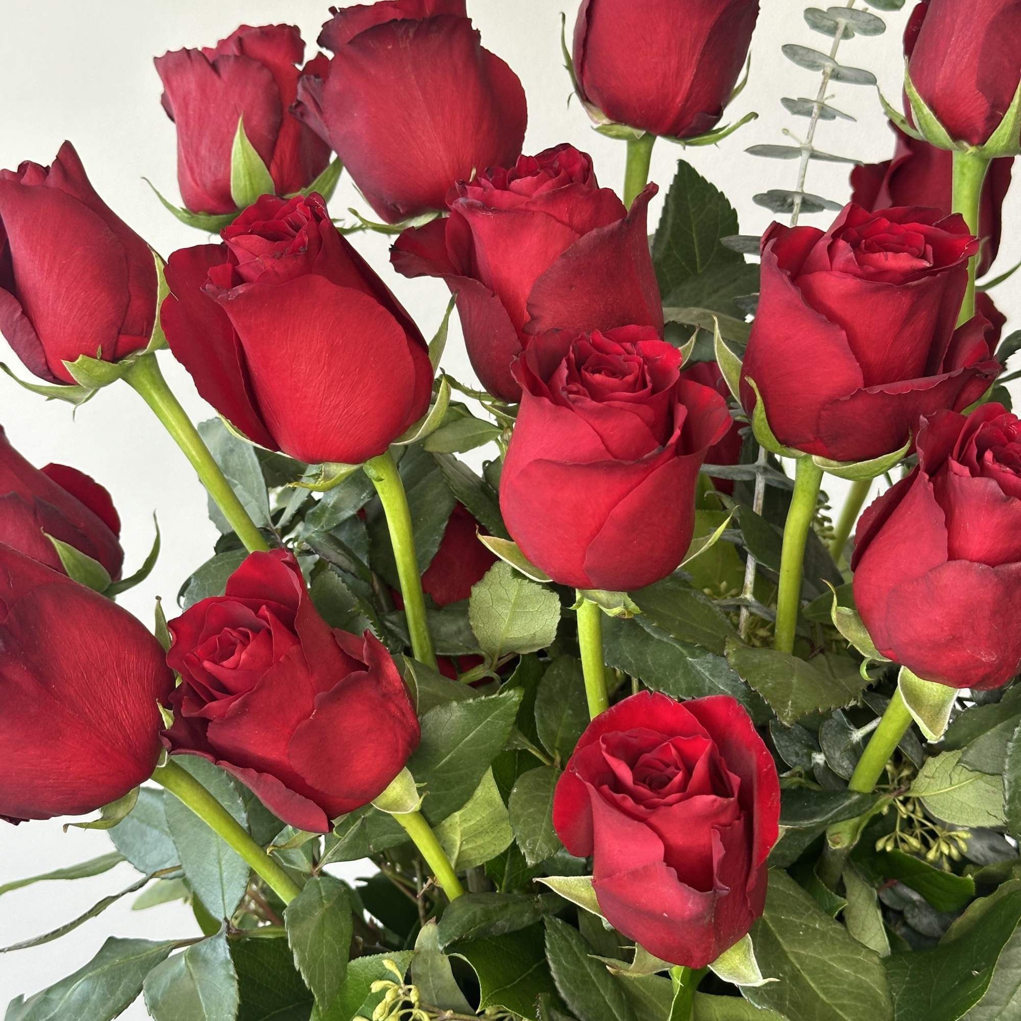 A grand romance begins with Flower Synergy, created for those who believe