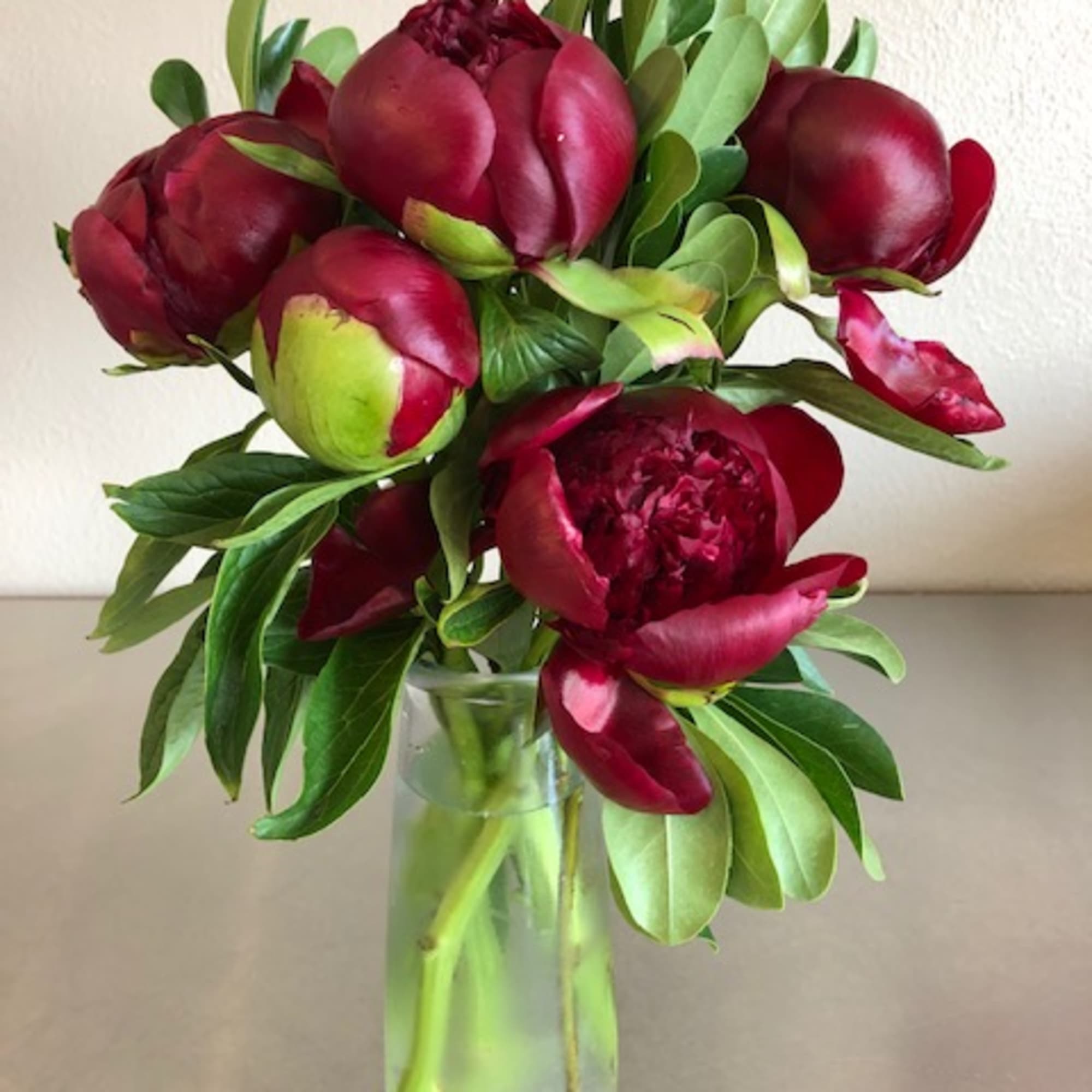 Deep red peonies arranged in a clear glass vase