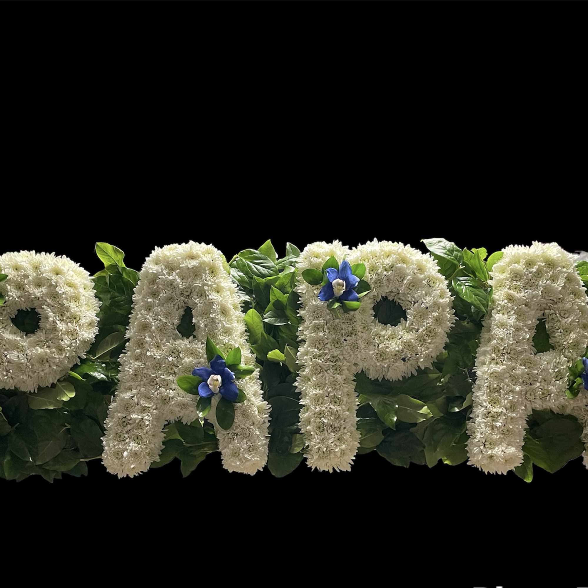 In loving memory, our  Tribute is a beautiful expression of sympathy.
