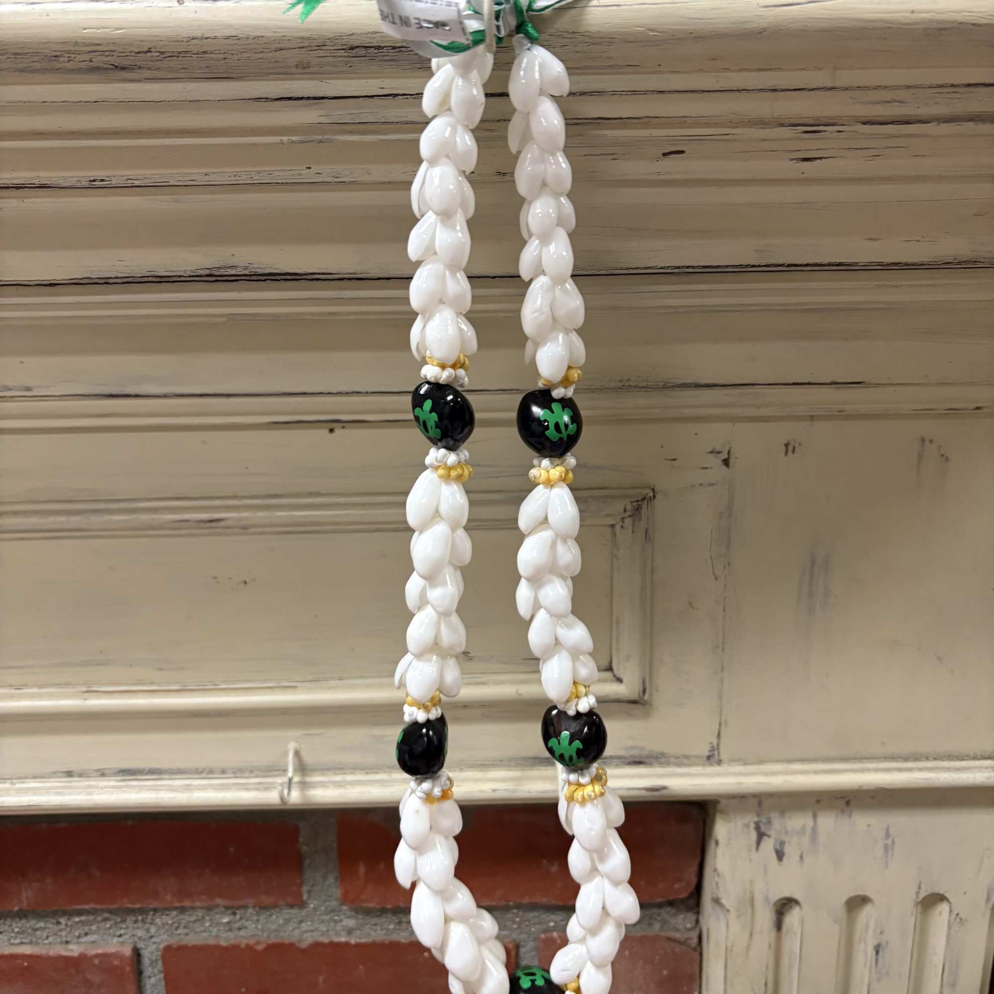 Kukui Nut Lei Green and Black Turtle with White Pukka Shells.
Made in