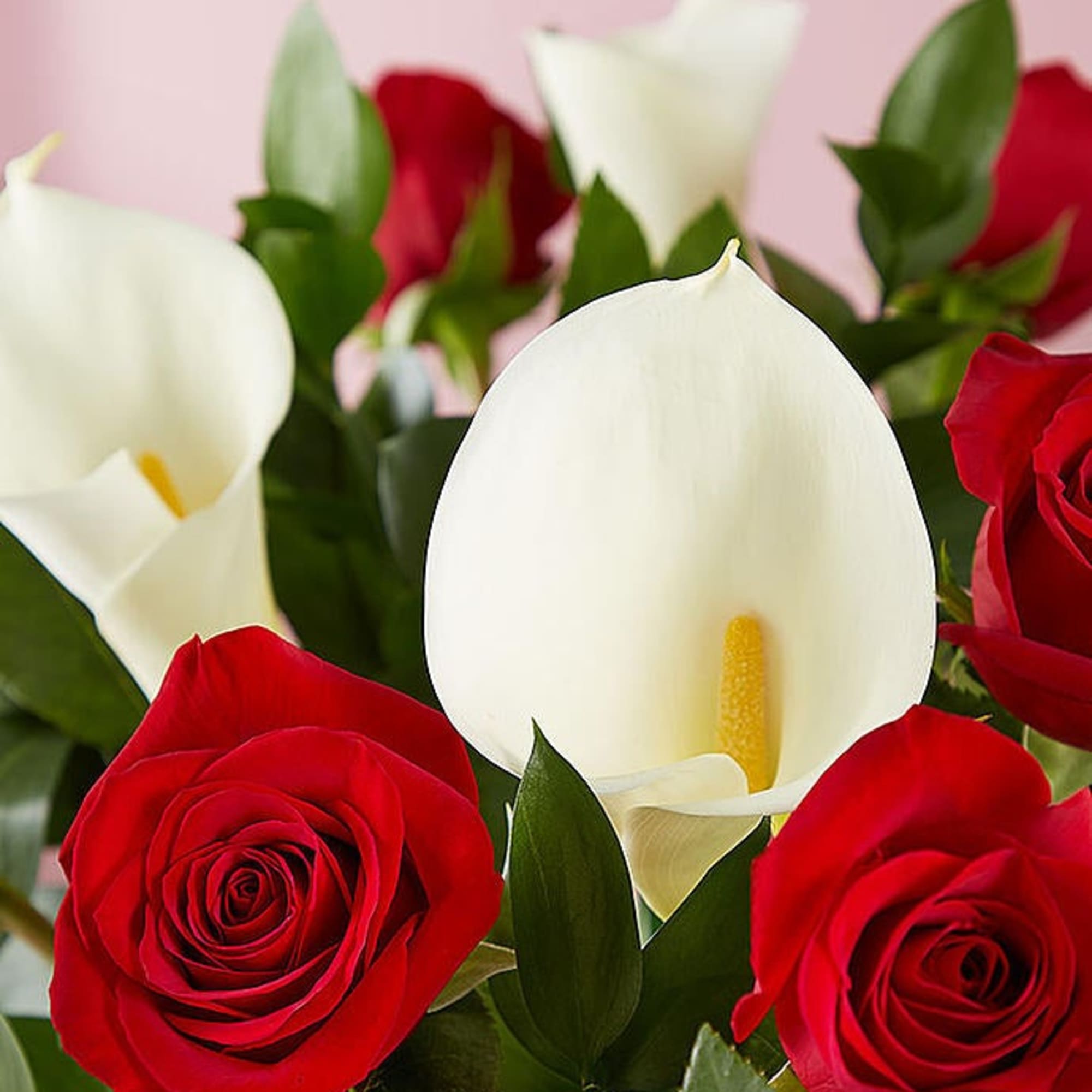 Red roses and white calla lilies in a close-up bouquet