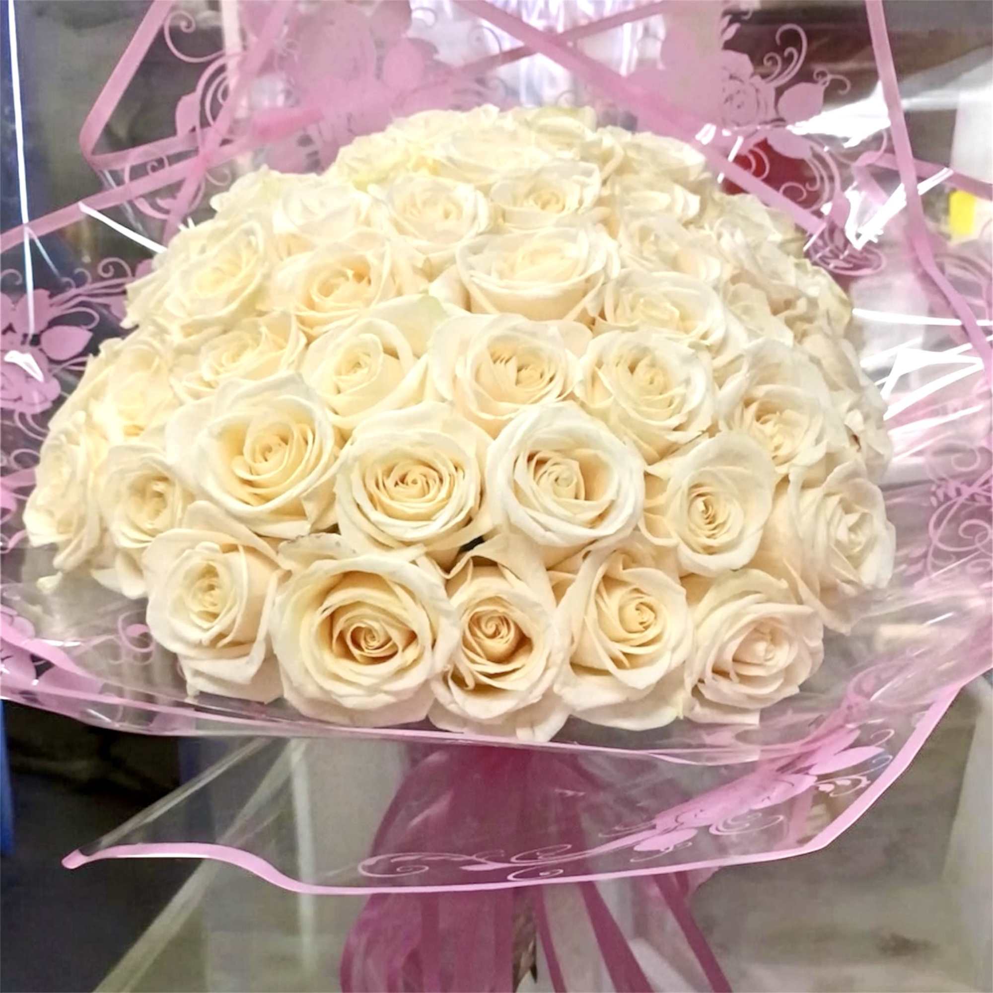 50 beautiful Roses , in a combination of white roses with pink