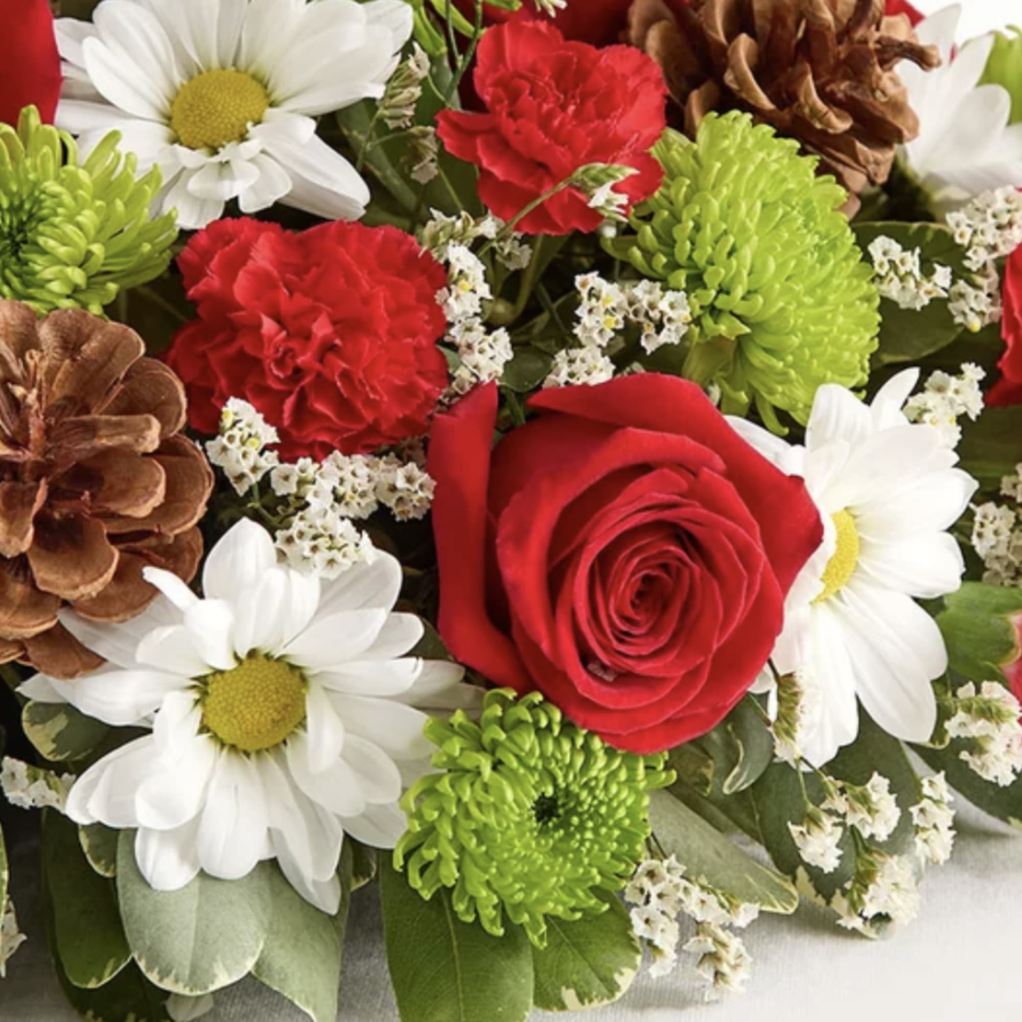Bouquet of red roses, white daisies, and green chrysanthemums with pinecones