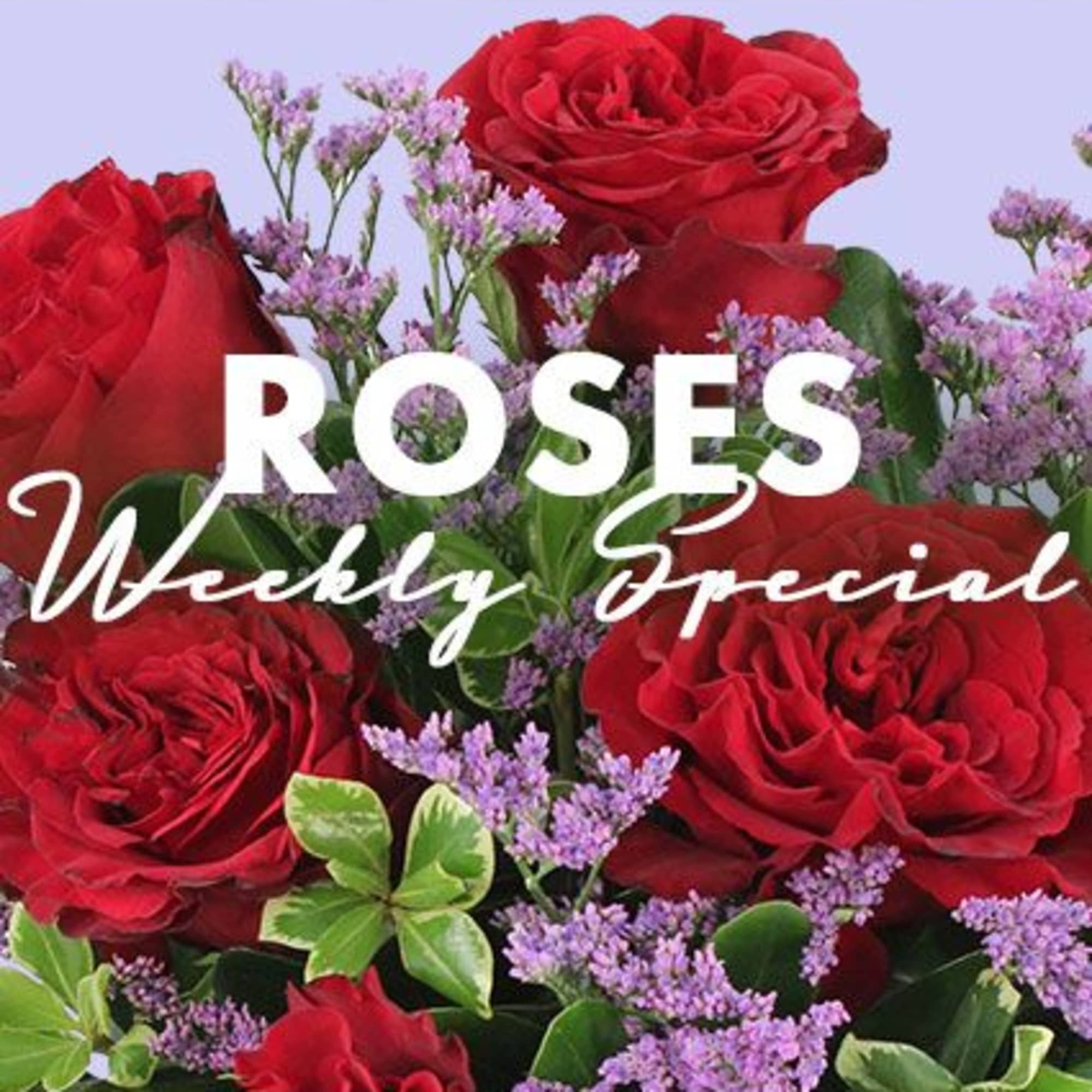 For a floral gift that says it all, send our Weekly Special