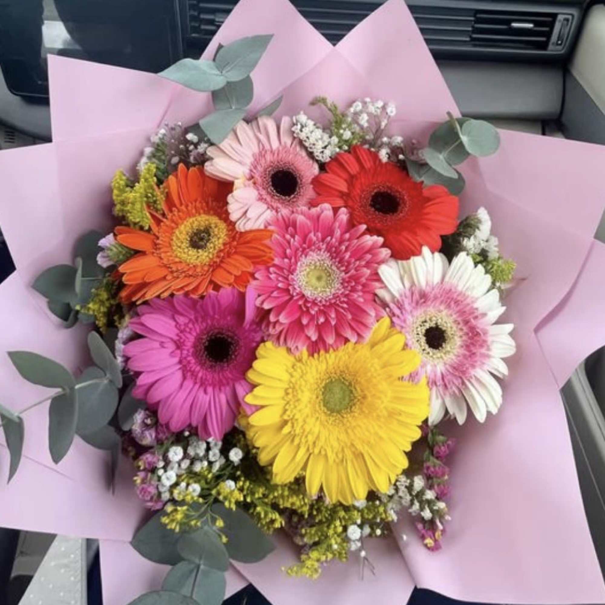 6 Gerber Daisy mix can choose #1 or #2 