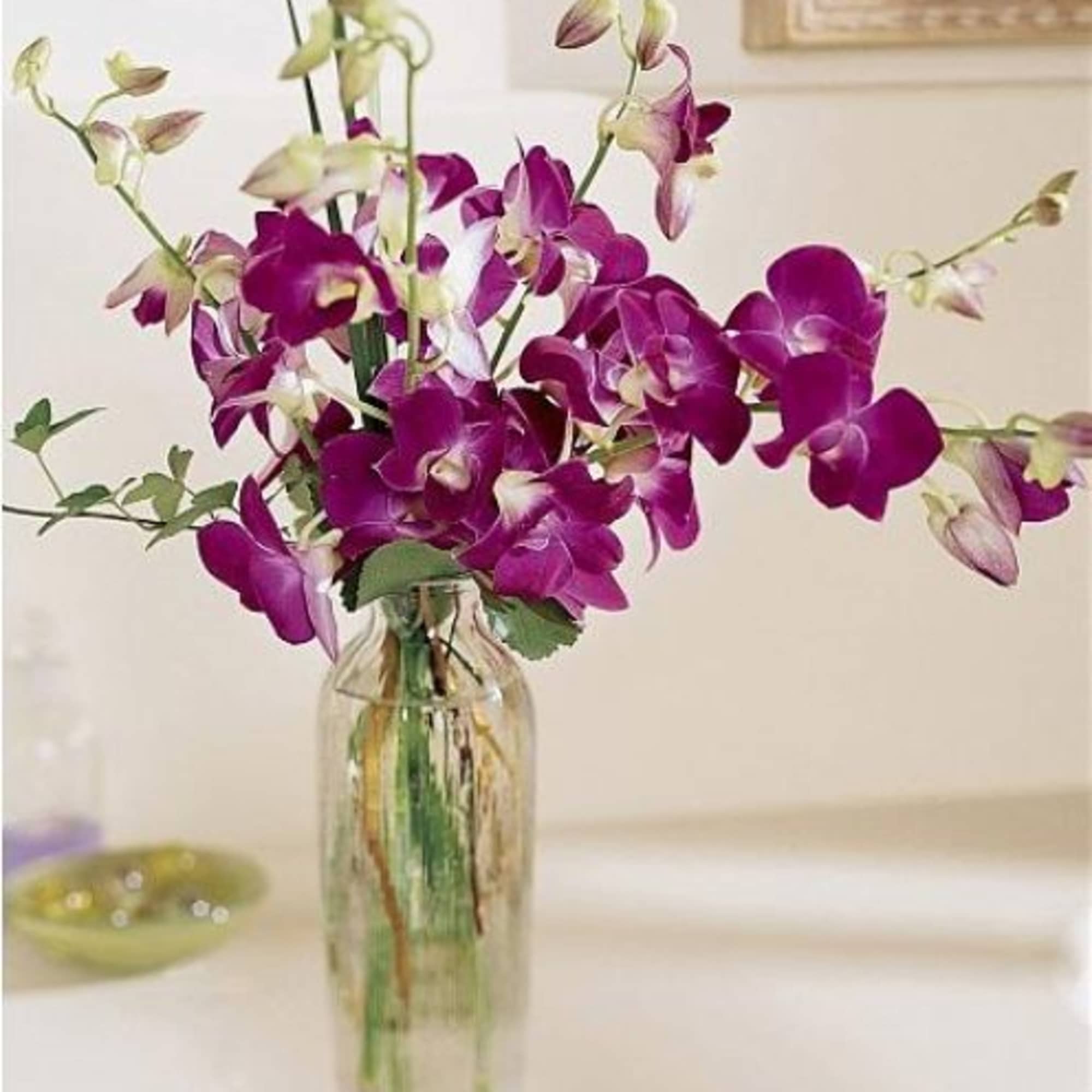 Purple orchids arranged in a clear glass vase